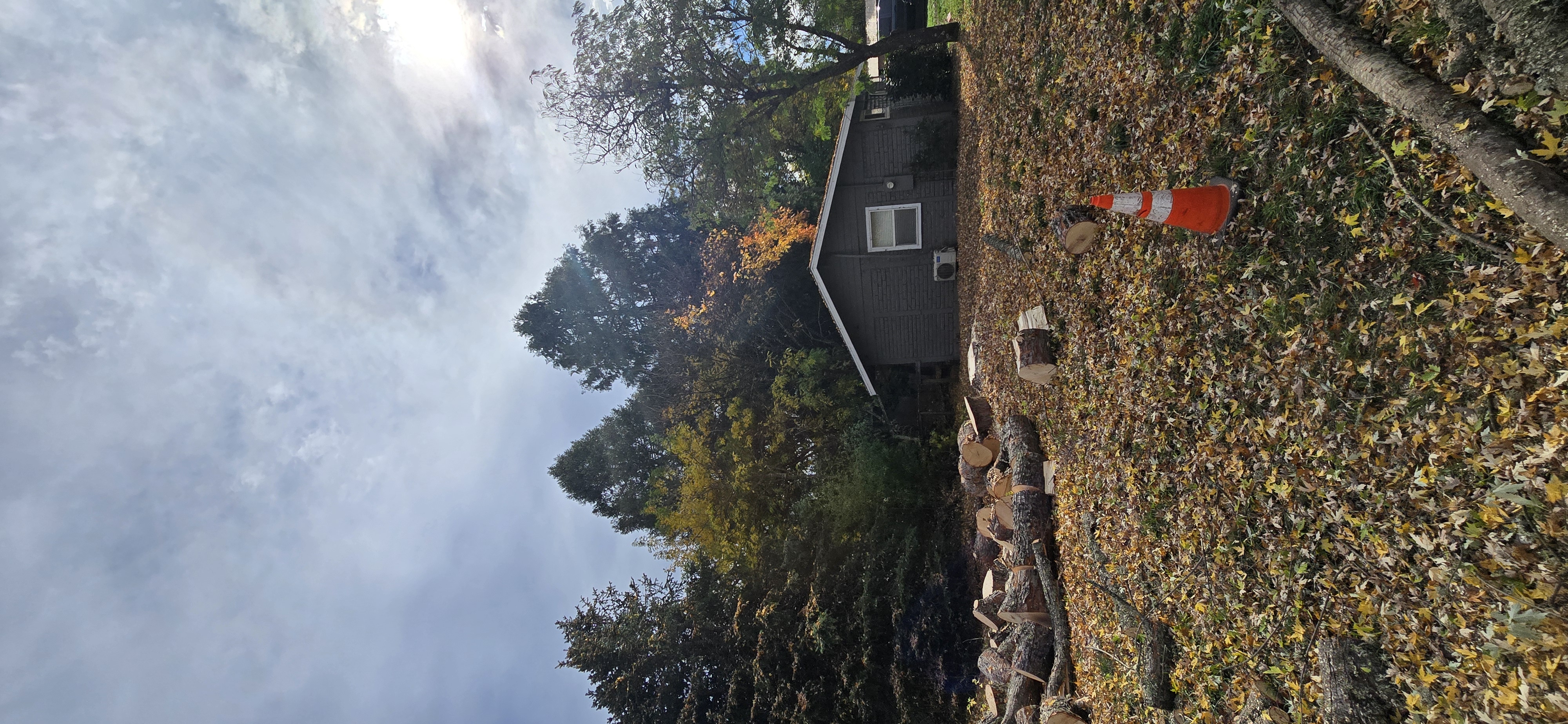  for George Staddan's Professional Tree Care in Placerville, CA