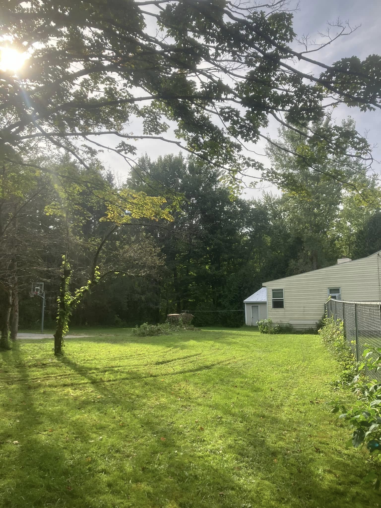  for Lovenguth Logging and Tree Service in West Monroe, NY