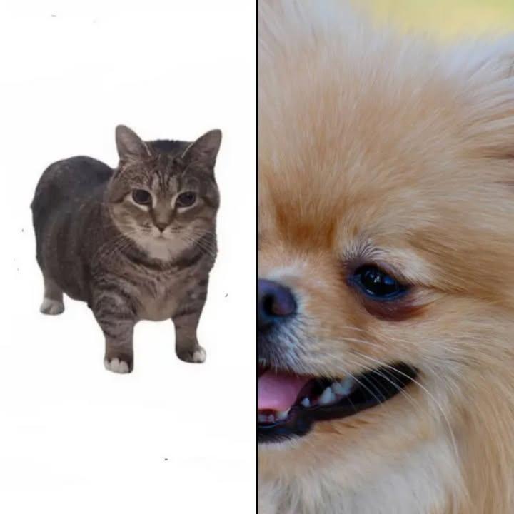  for Strange Soles in Boston, MA