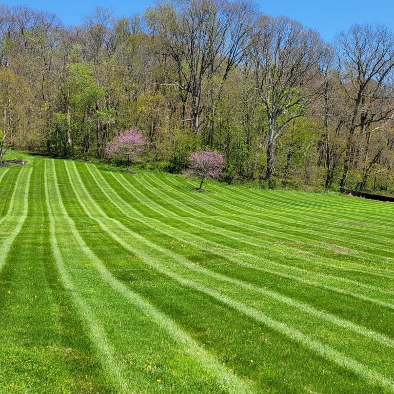  for Garza Lawncare & Tree Service in Pearland, TX