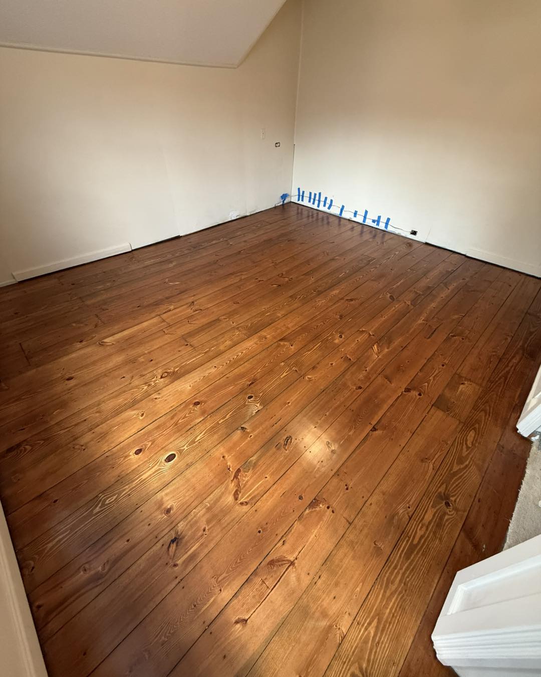  for Finely Finished LLC in Wyoming, DE