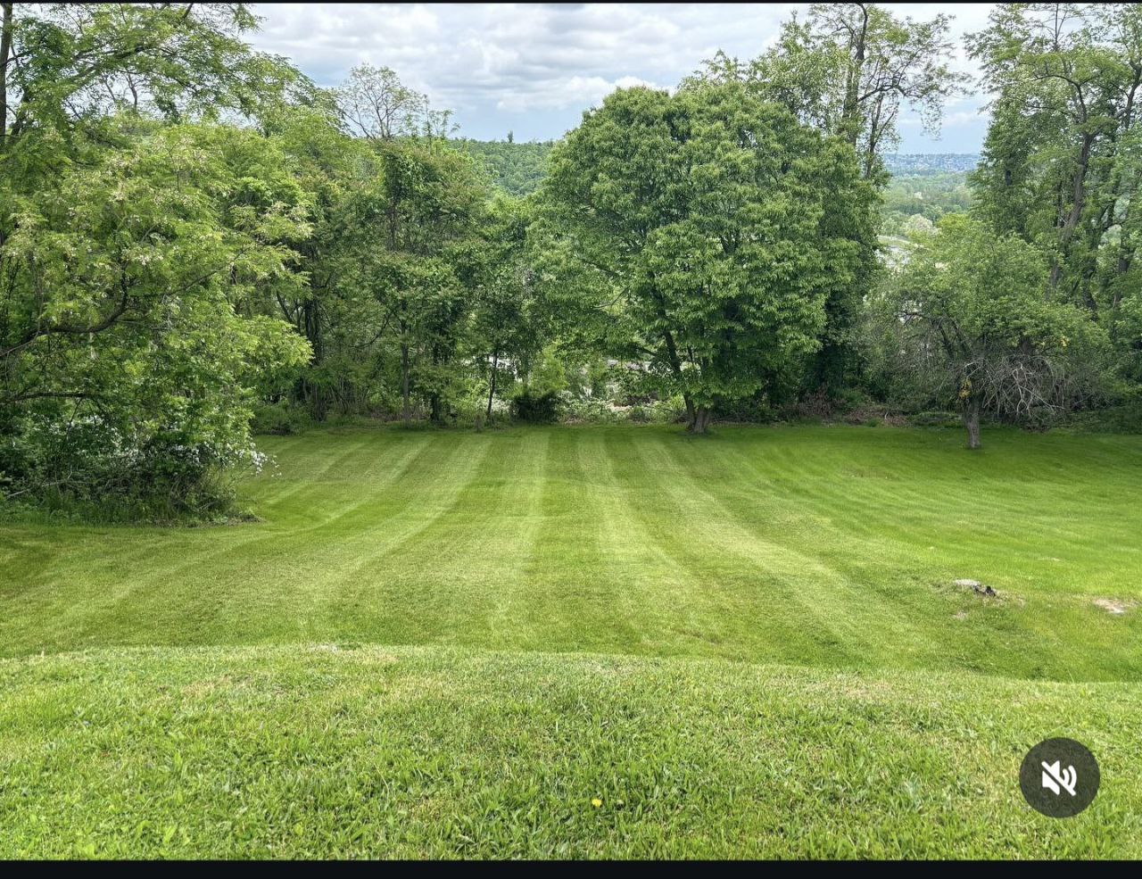  for Cam Yardz in Washington, PA