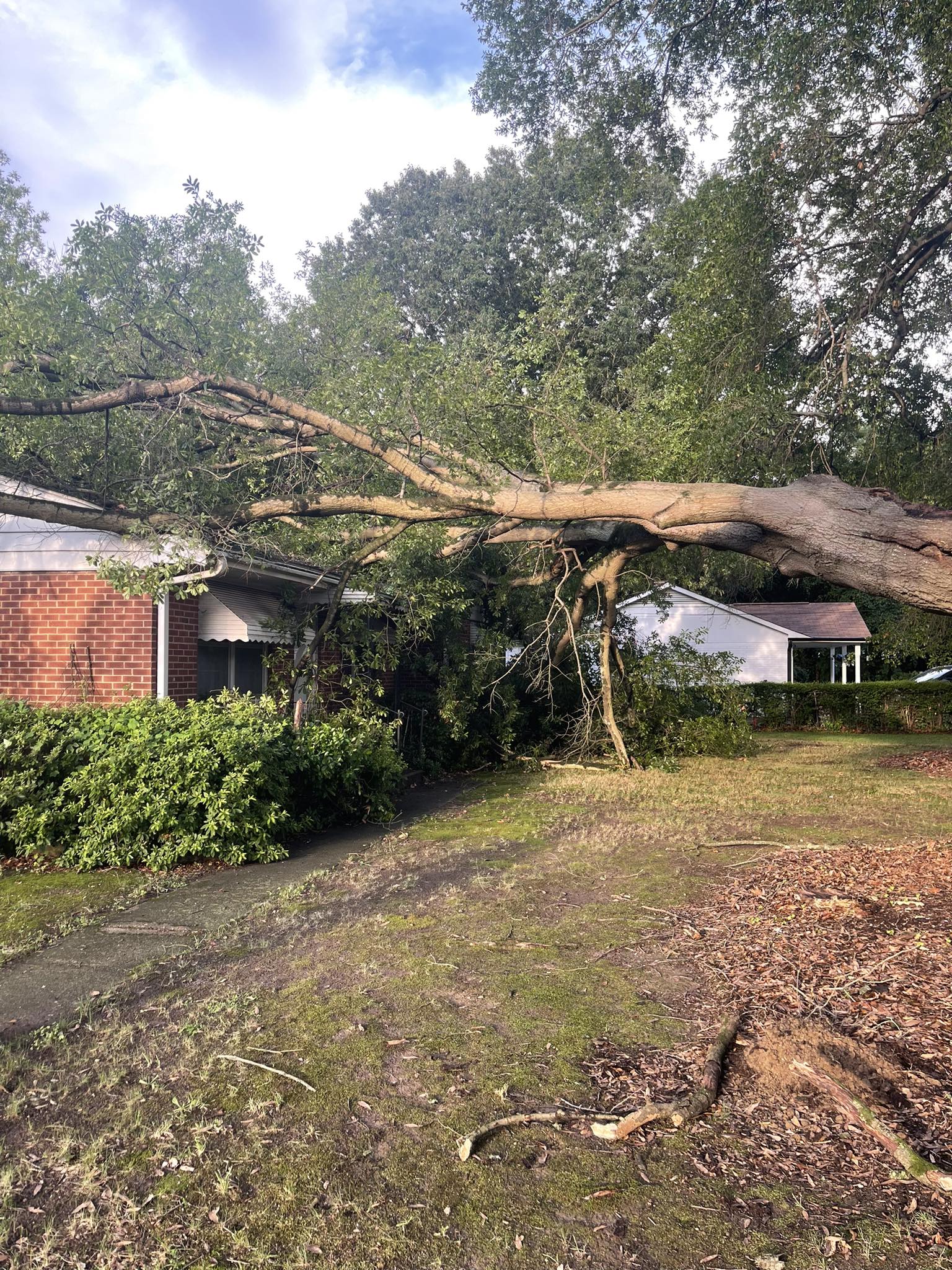  for J&J Tree Services in Raleigh, NC