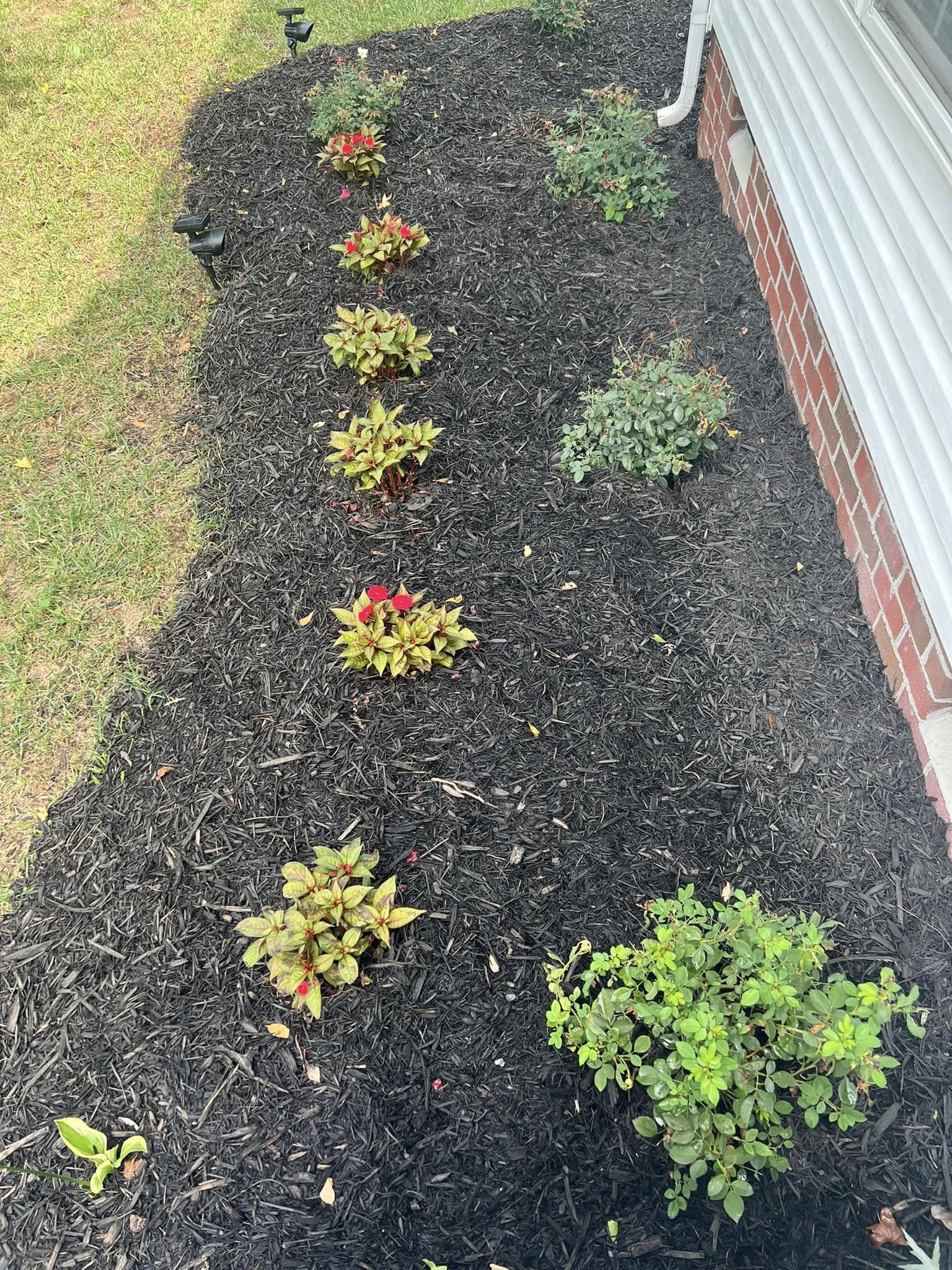  for Lawn Popper's, LLC in Richmond, VA