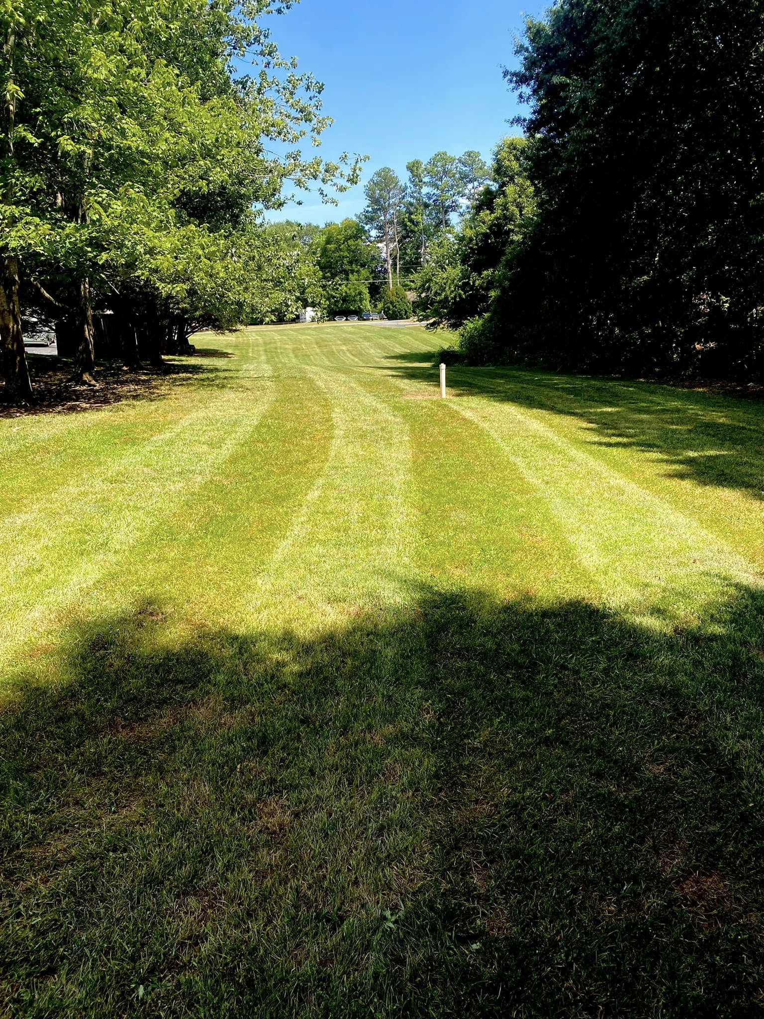  for Taylormade Lawn Management in Clarkesville, GA
