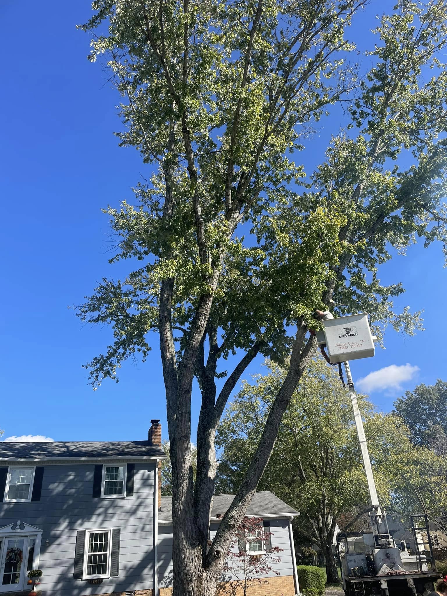 cover-photo