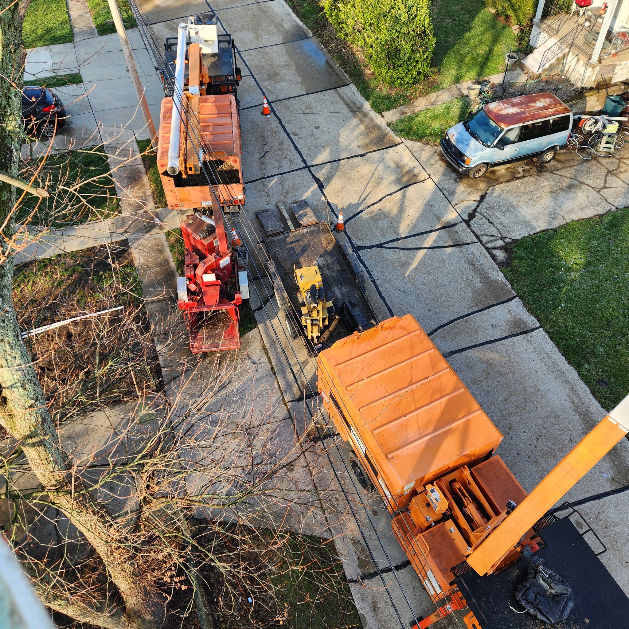  for Carpenter's Tree Service in Aurora, IN