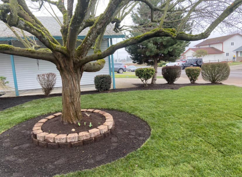  for Churape And Son's Landscaping in Vancouver, WA