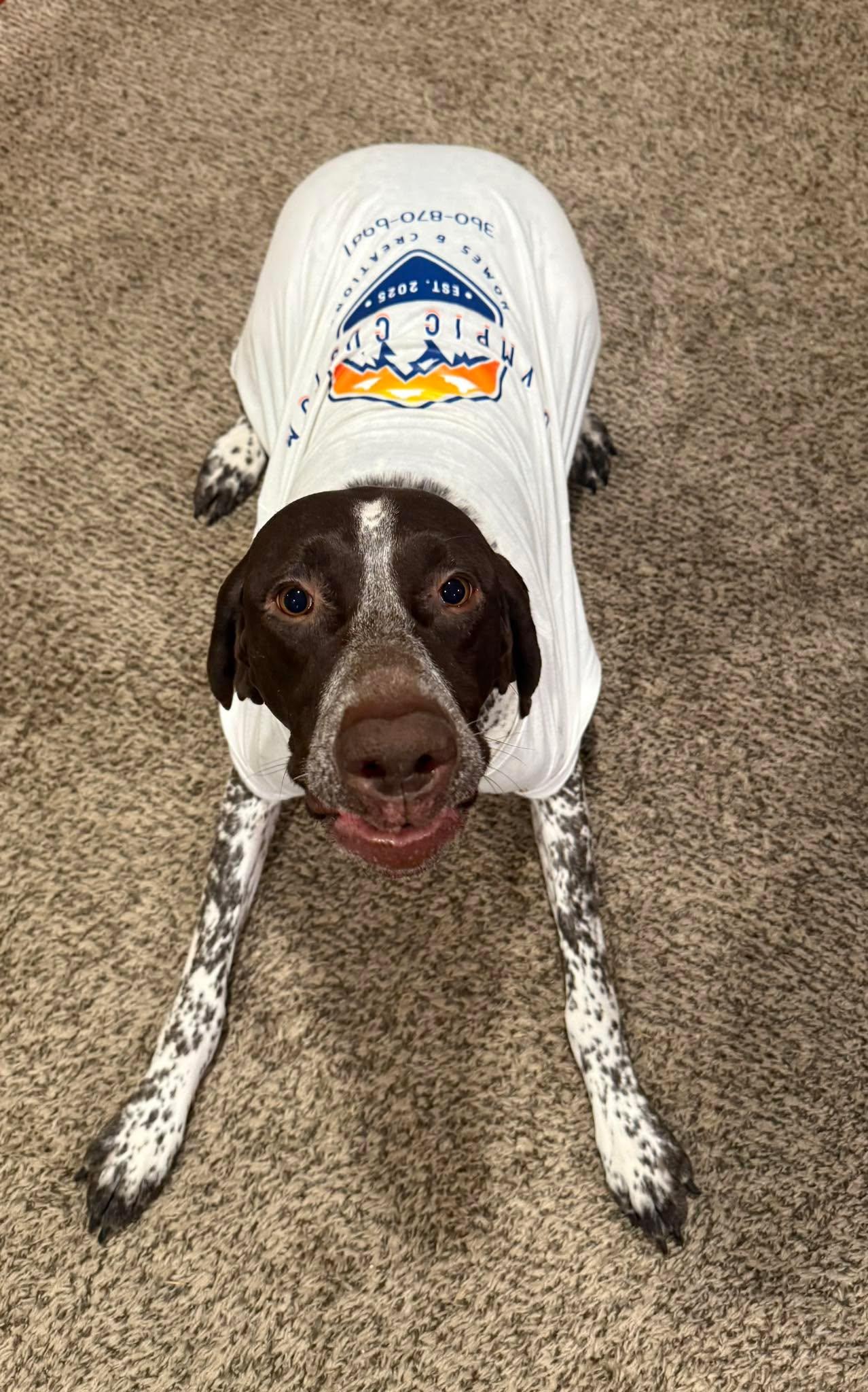  for Olympic Custom Homes & Creations in Shelton, WA