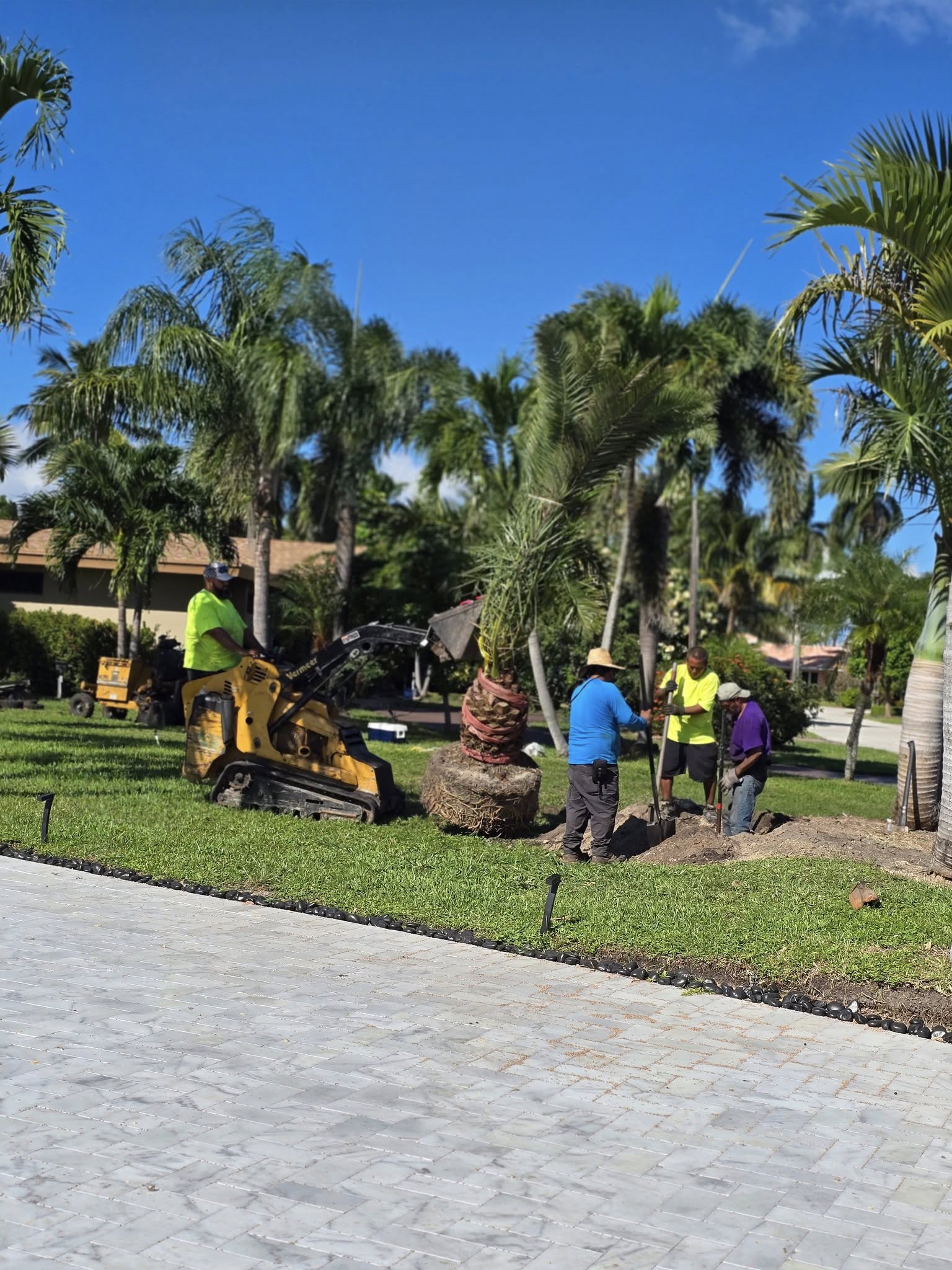 for Bridgewater Arbor Care LLC in Jupiter, FL