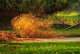  for Turf Titan in Lake City, FL