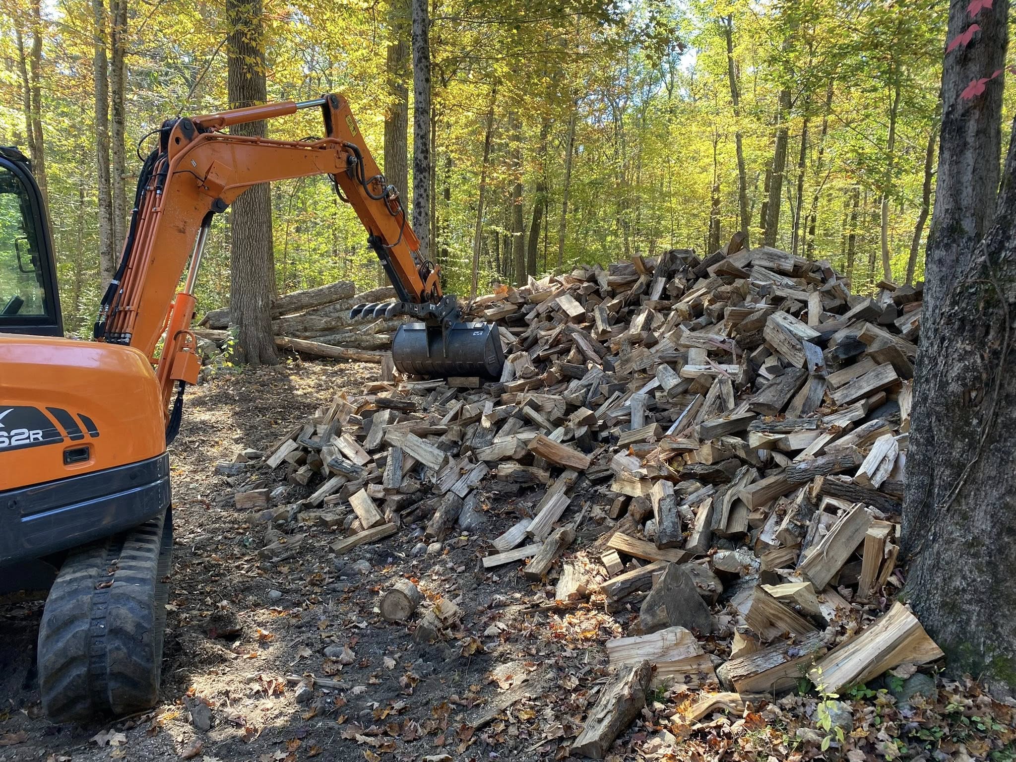  for Davis Services LLC in Bethany, CT