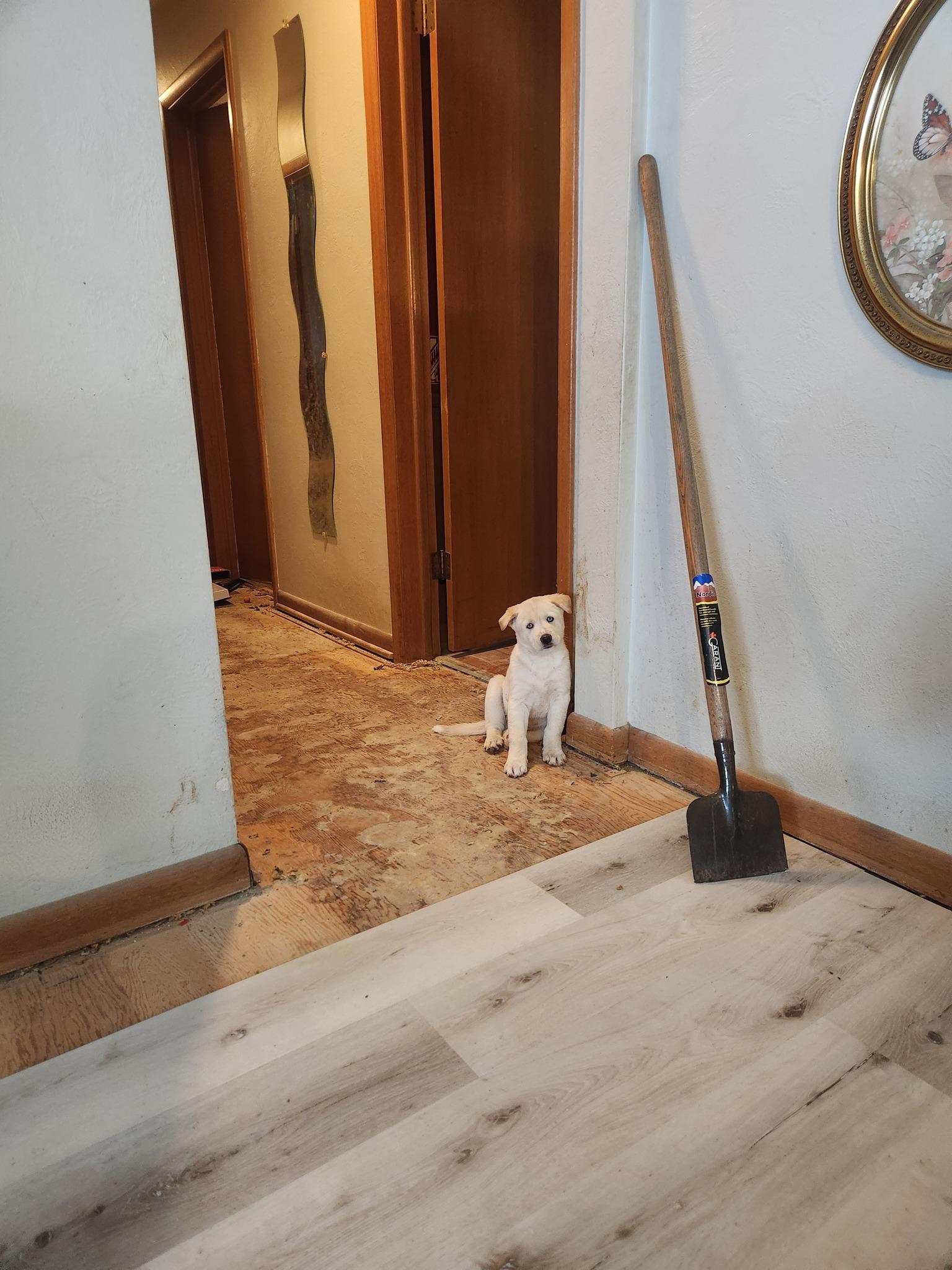  for Lind Boomer Flooring, Remodeling & Construction in Loves Park, IL