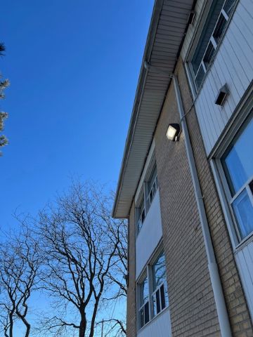  for Triumph Inc - Repair & Maintenance in Scarborough, ON