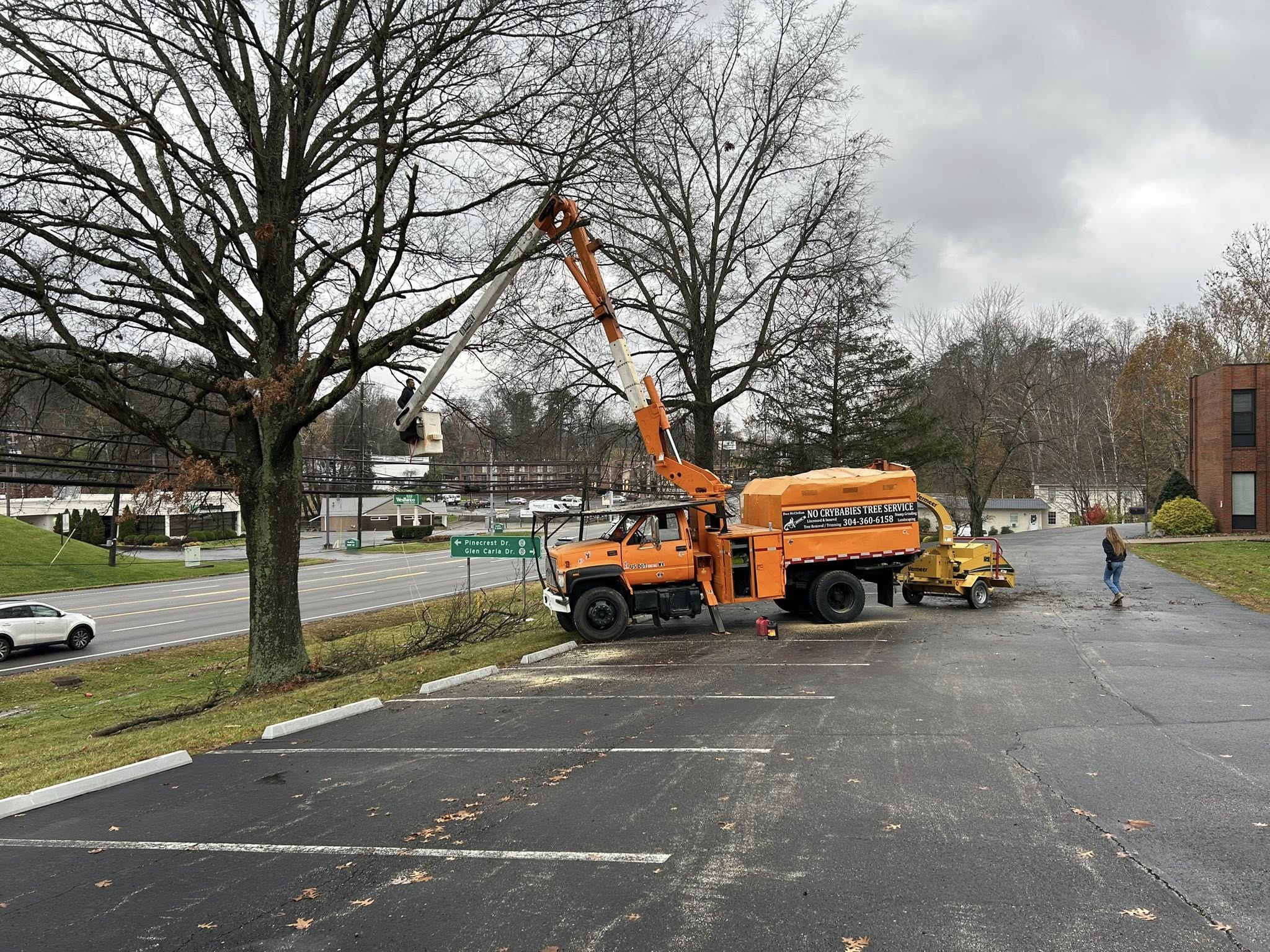 KJ’s Tree Service & More LLC team in Fraziers Bottom, WV - people or person