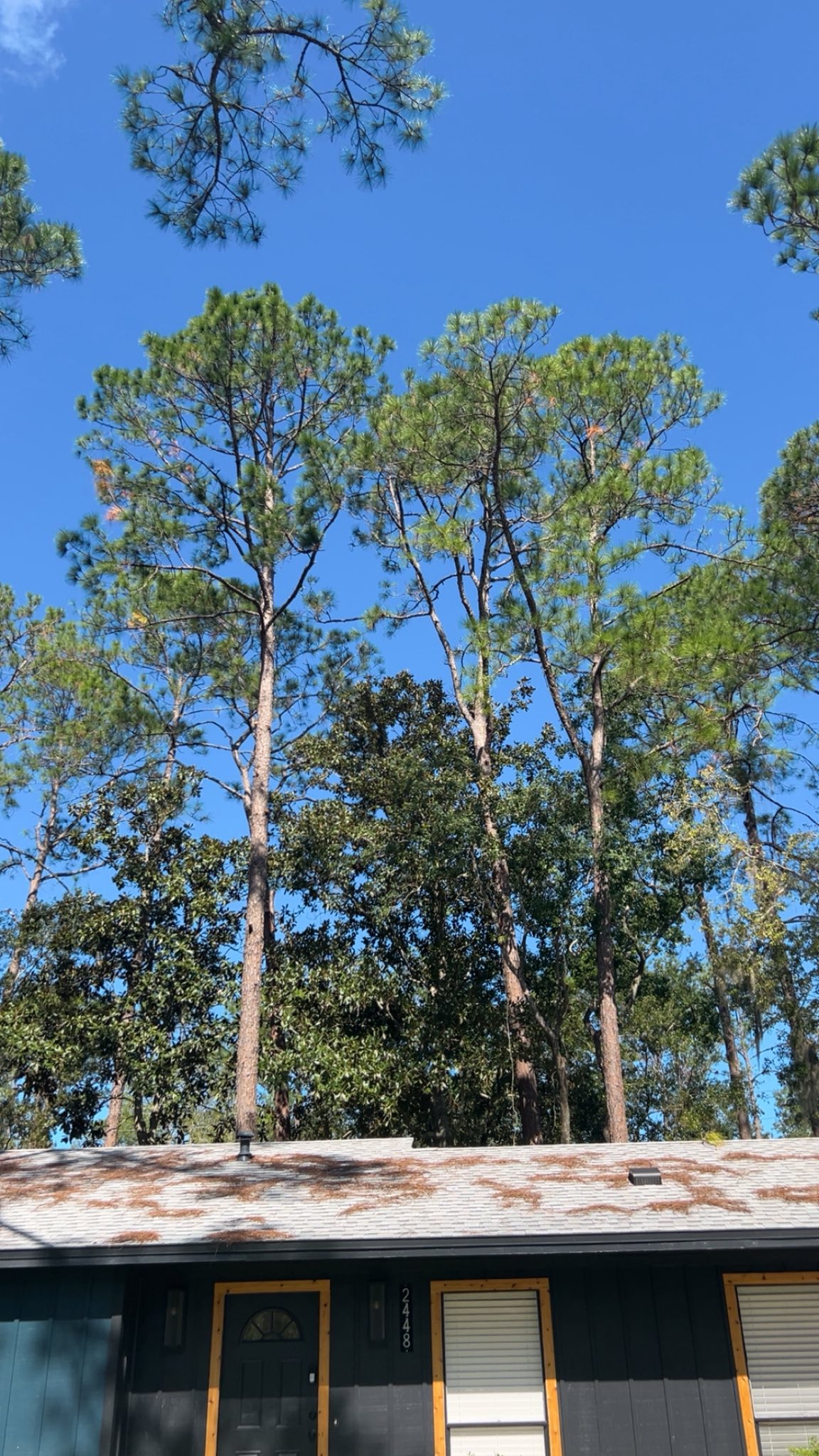  for All Seasons Tree Service and Land Works in Trenton, FL