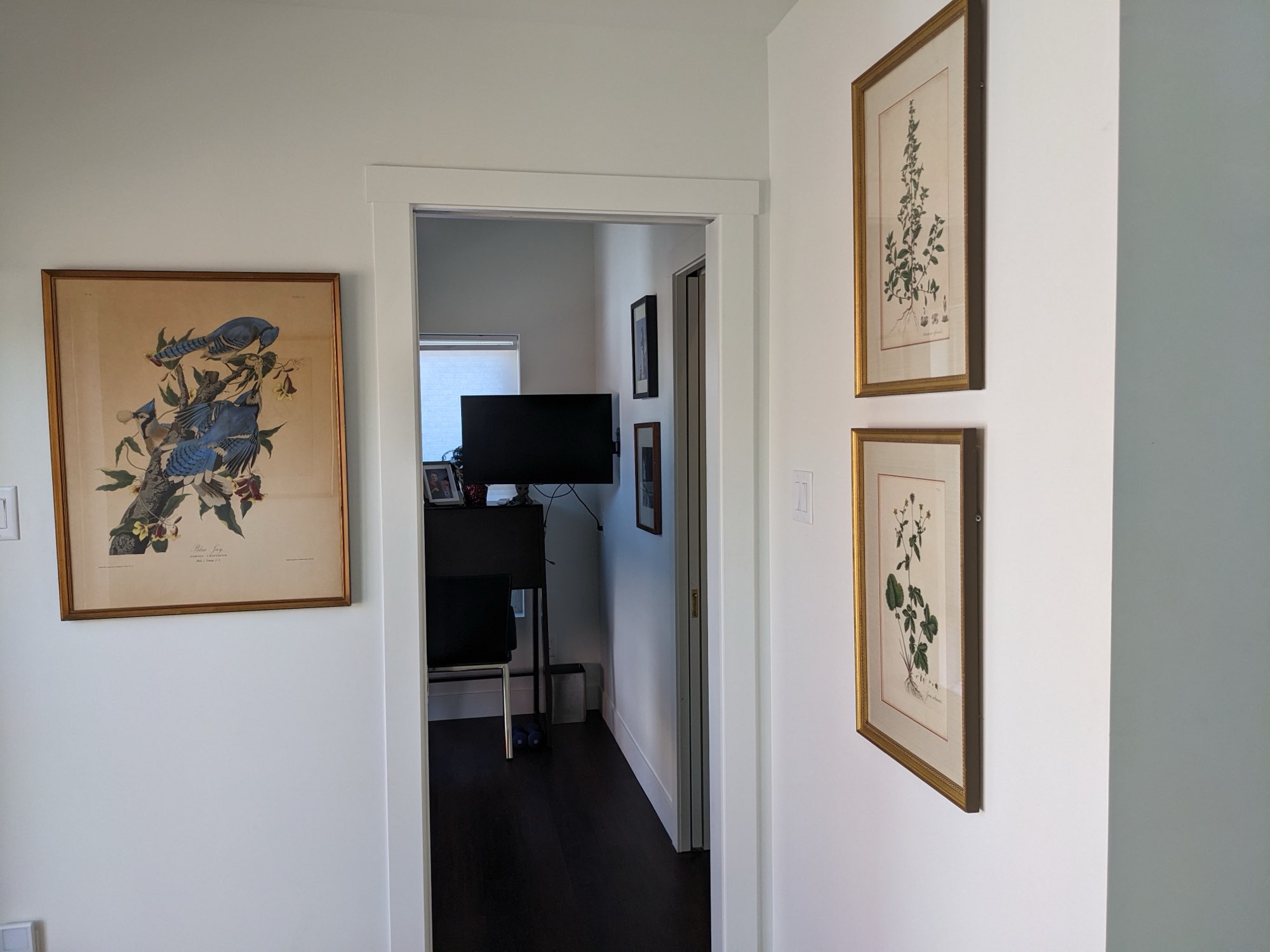 Bright hallway with white trim and walls, dark wood-look floors and a doorway leading to a room beyond