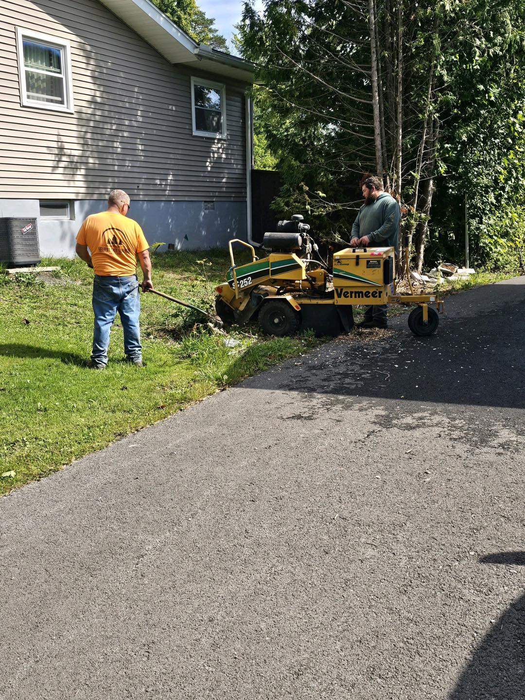  for Helfert Tree Service in Boonville, NY