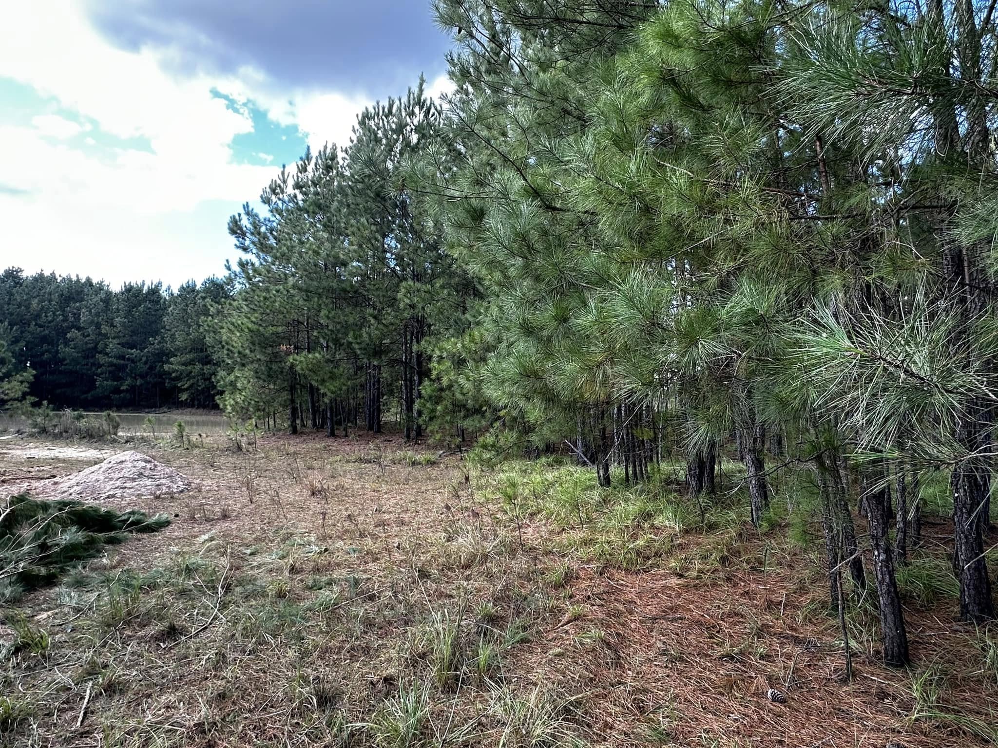  for Iron Industries in Bluffton, SC