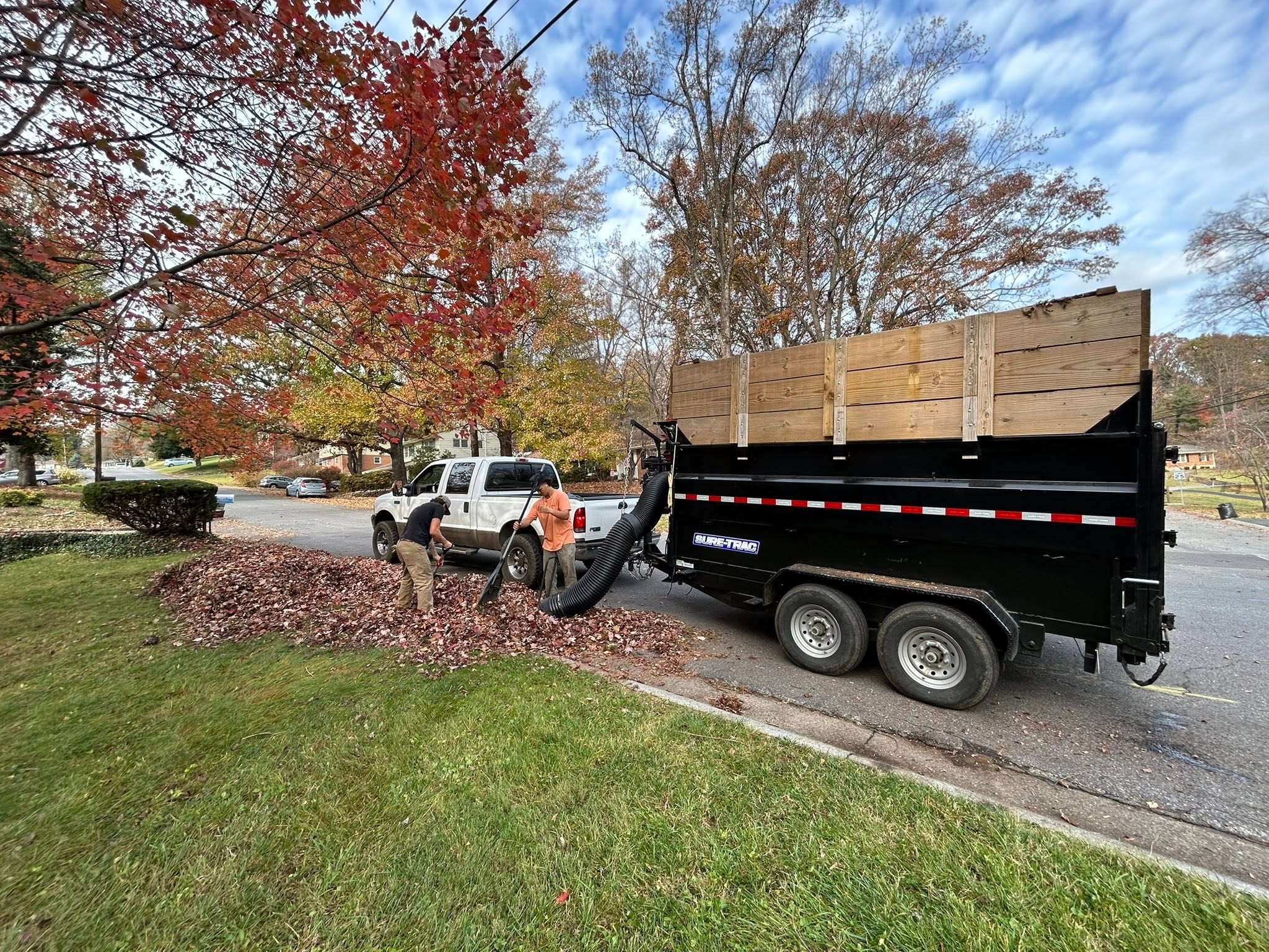 Leaf removal in Blacksburg VA