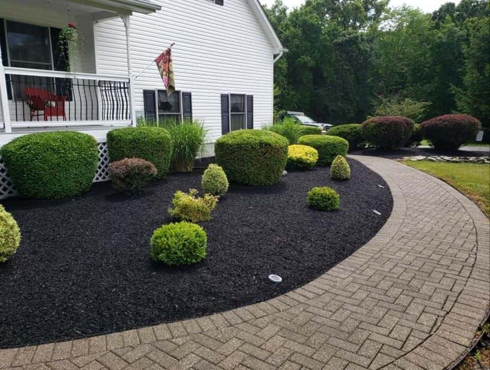 T&S Tree Care LLC team in Portland, OR - people or person