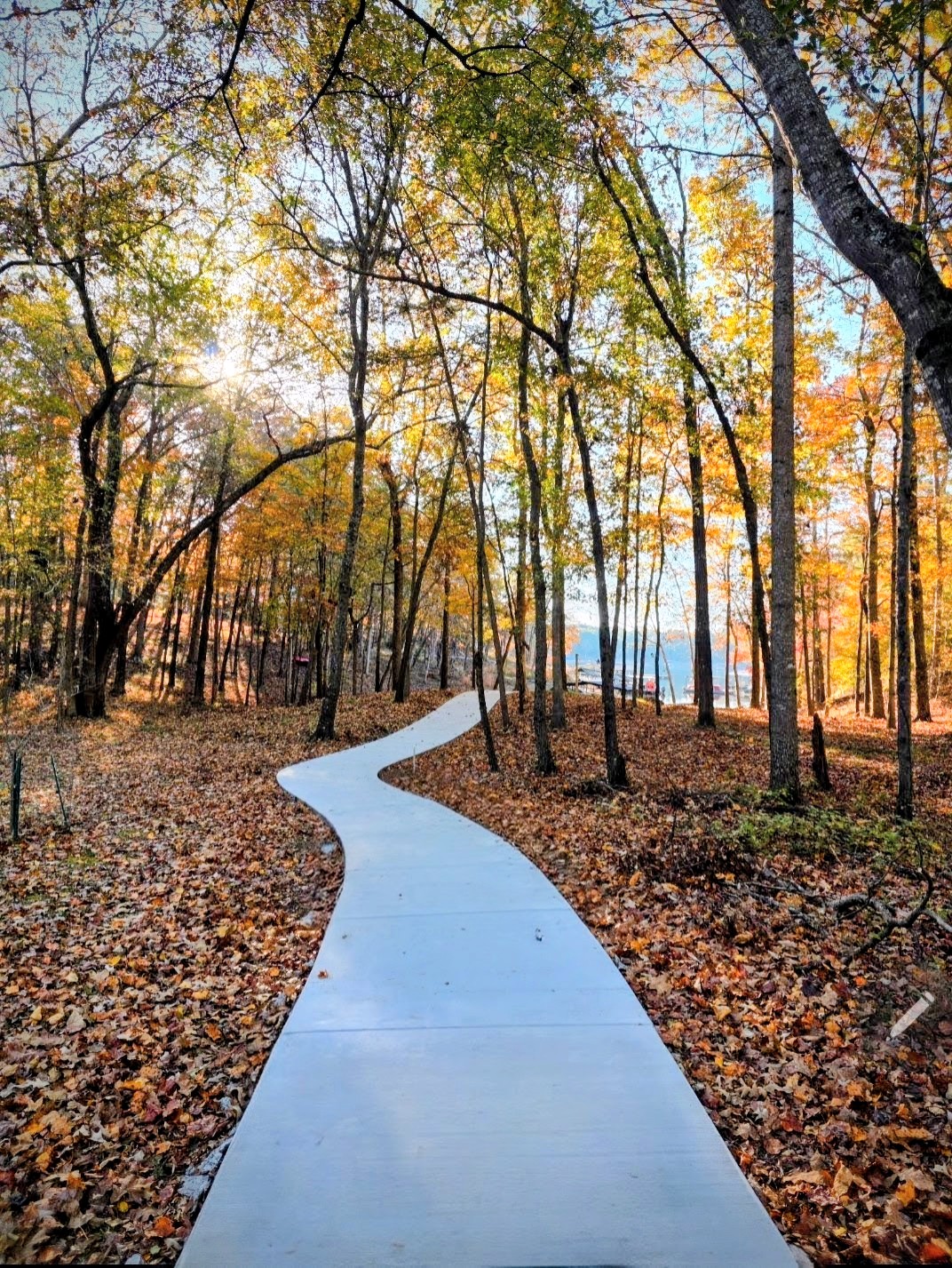  for D&D Unlimited Landscaping in Hartwell, GA