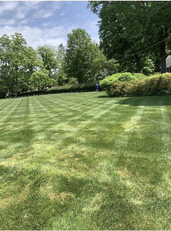  for Zotelo’s Lawncare LLC in Winston-Salem, NC