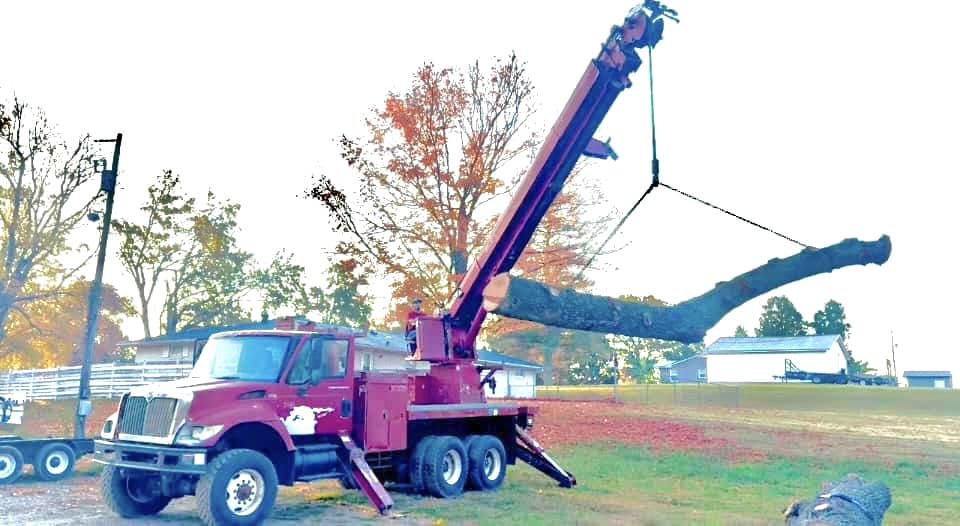 Land Clearing company Lamb Brothers Land Clearing in Murray, KY