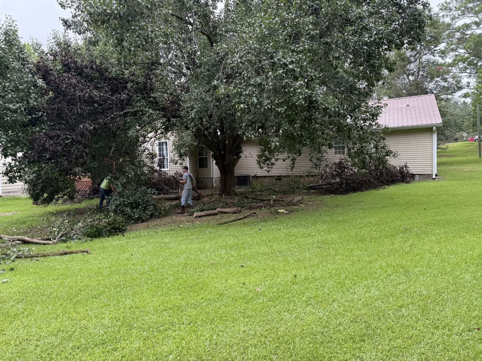  for T N L - Tree and Land Service in Reynolds, GA