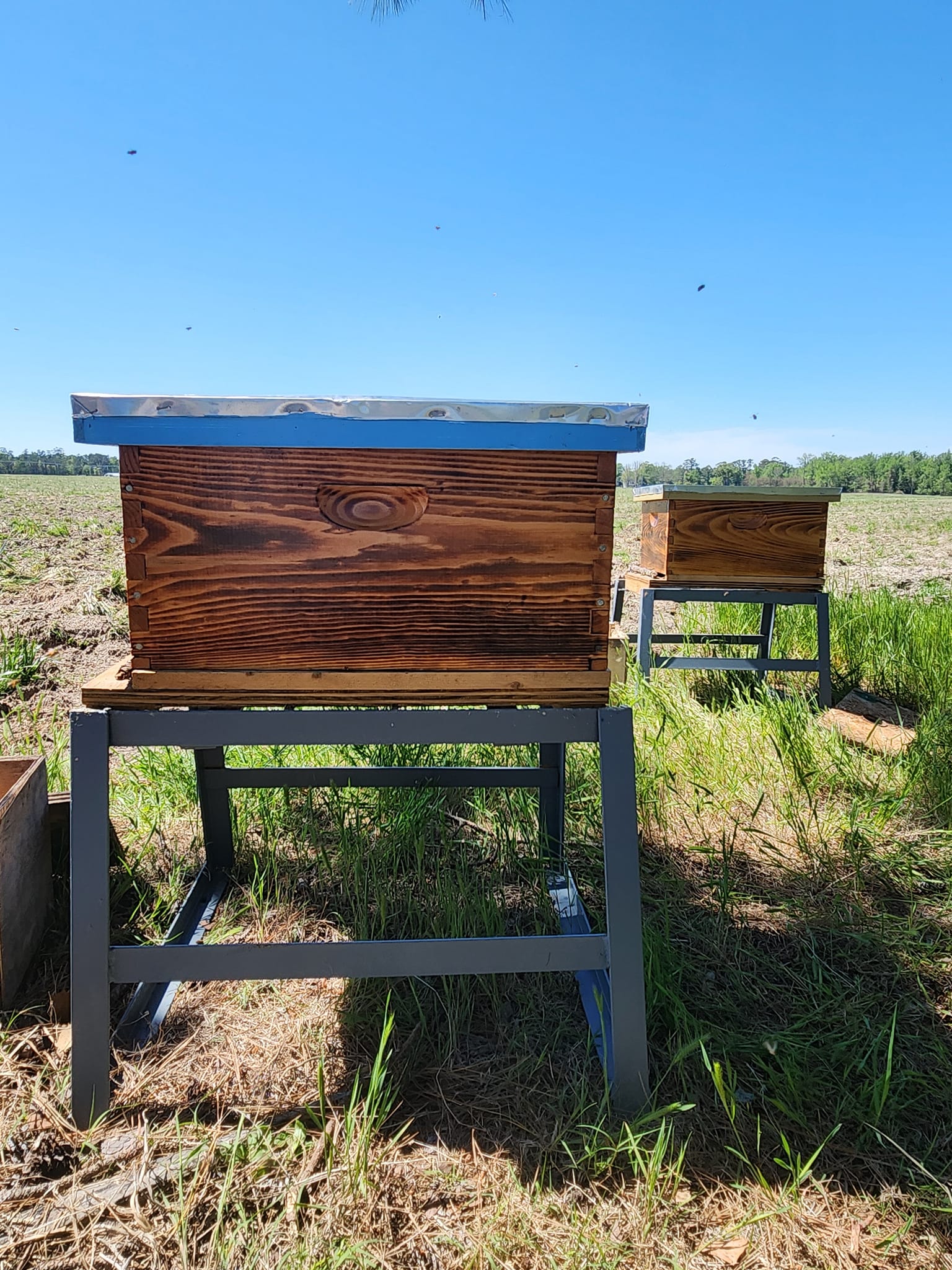 Finished trailer or custom build