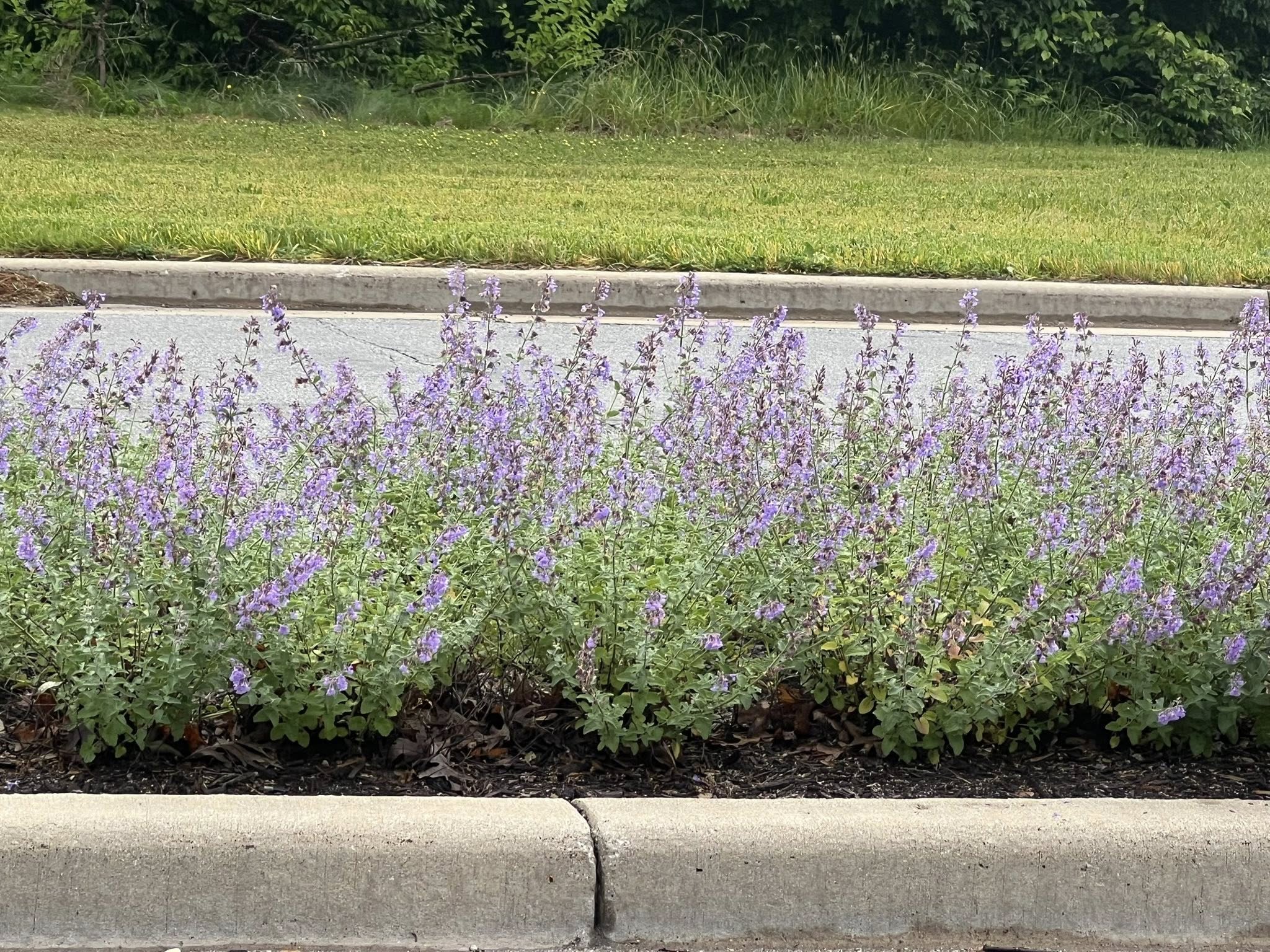  for Diamond Landscape Maintenance Corp. in Warsaw, IN