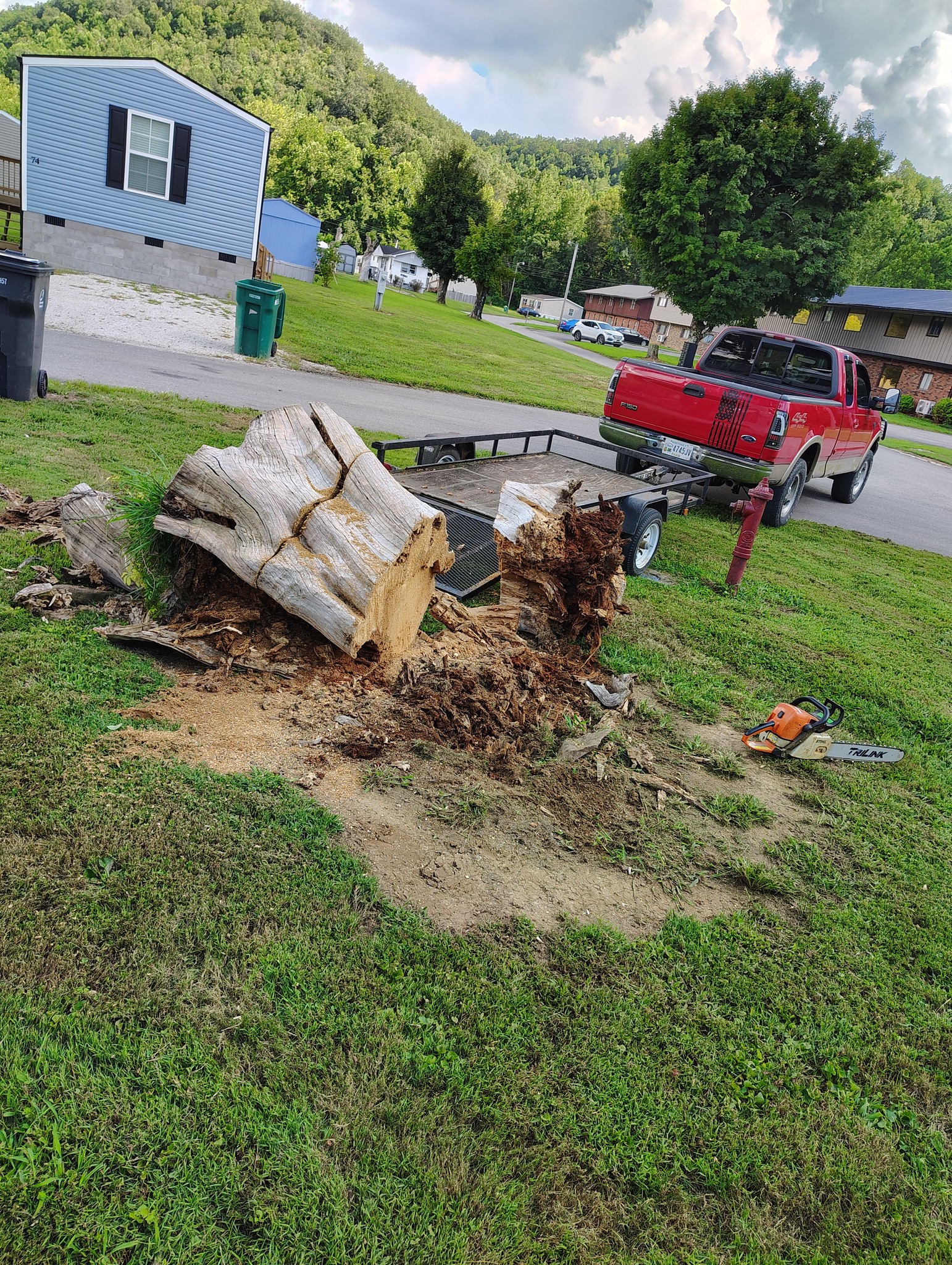  for Skys The Limit Tree Management in Morehead, KY