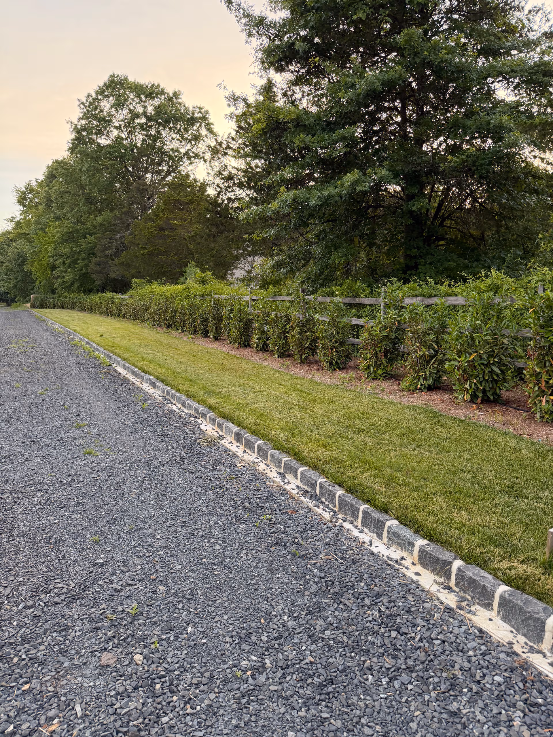 Privacy Hedges