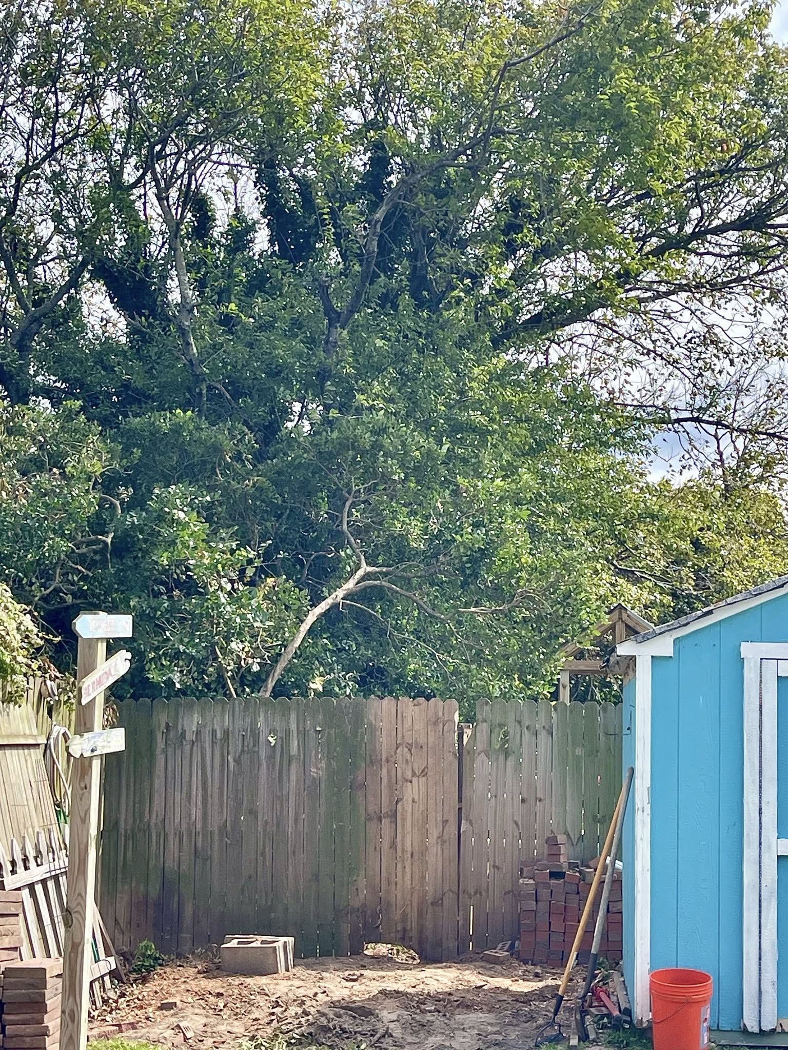  for Beach Tree Care in Virginia Beach, VA
