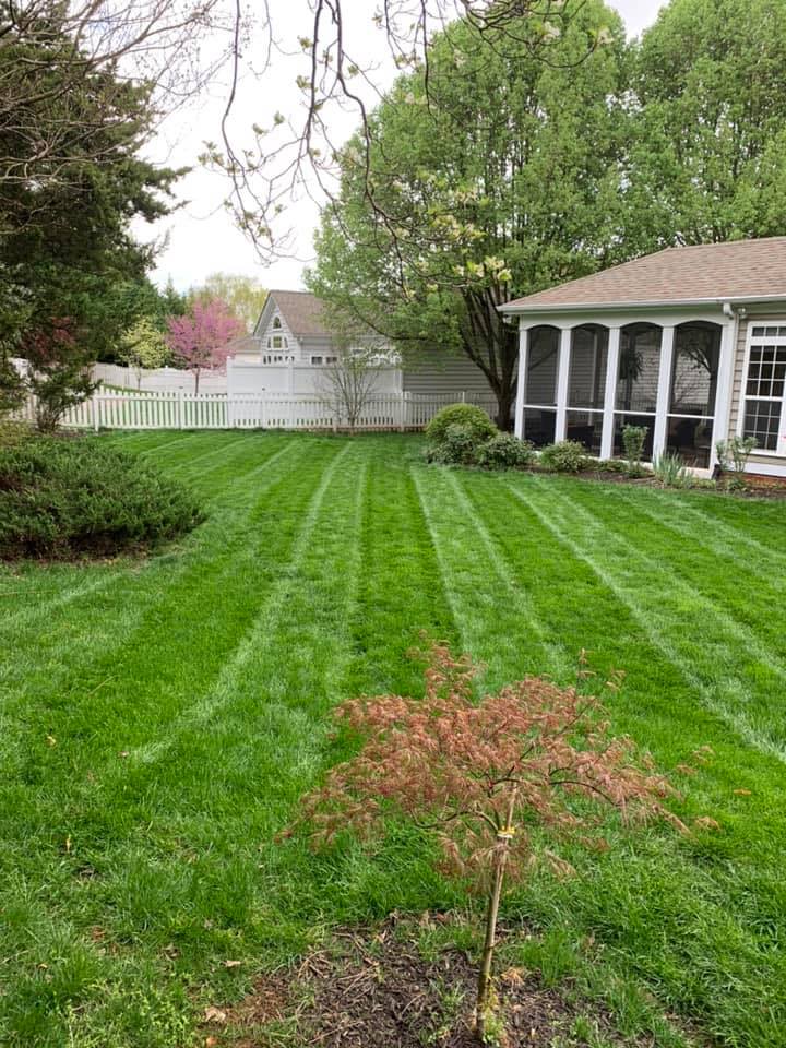  for Valencia’s Lawncare in Charlottesville, VA