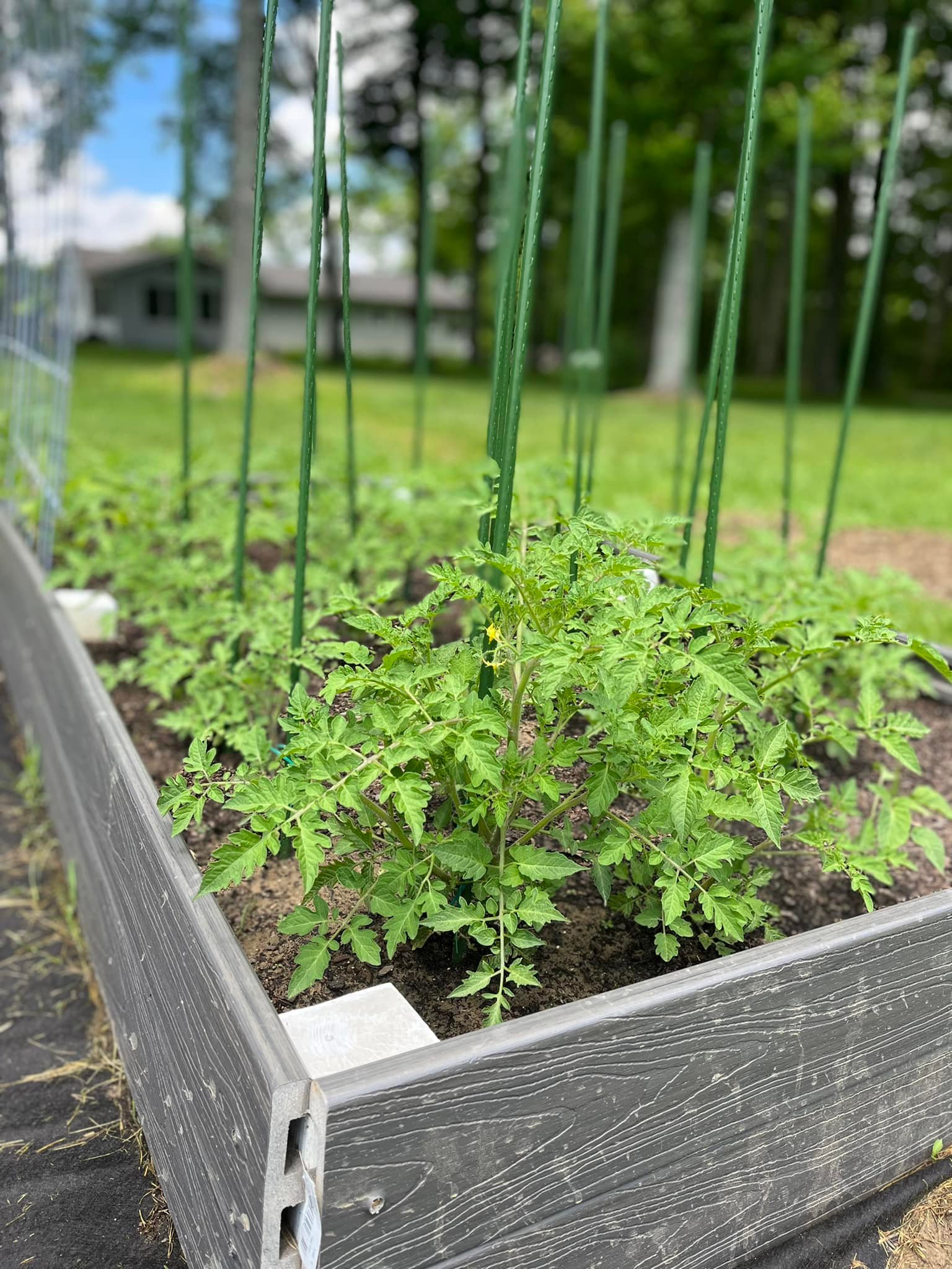  for Wolfe Custom Landscaping in Milford, OH