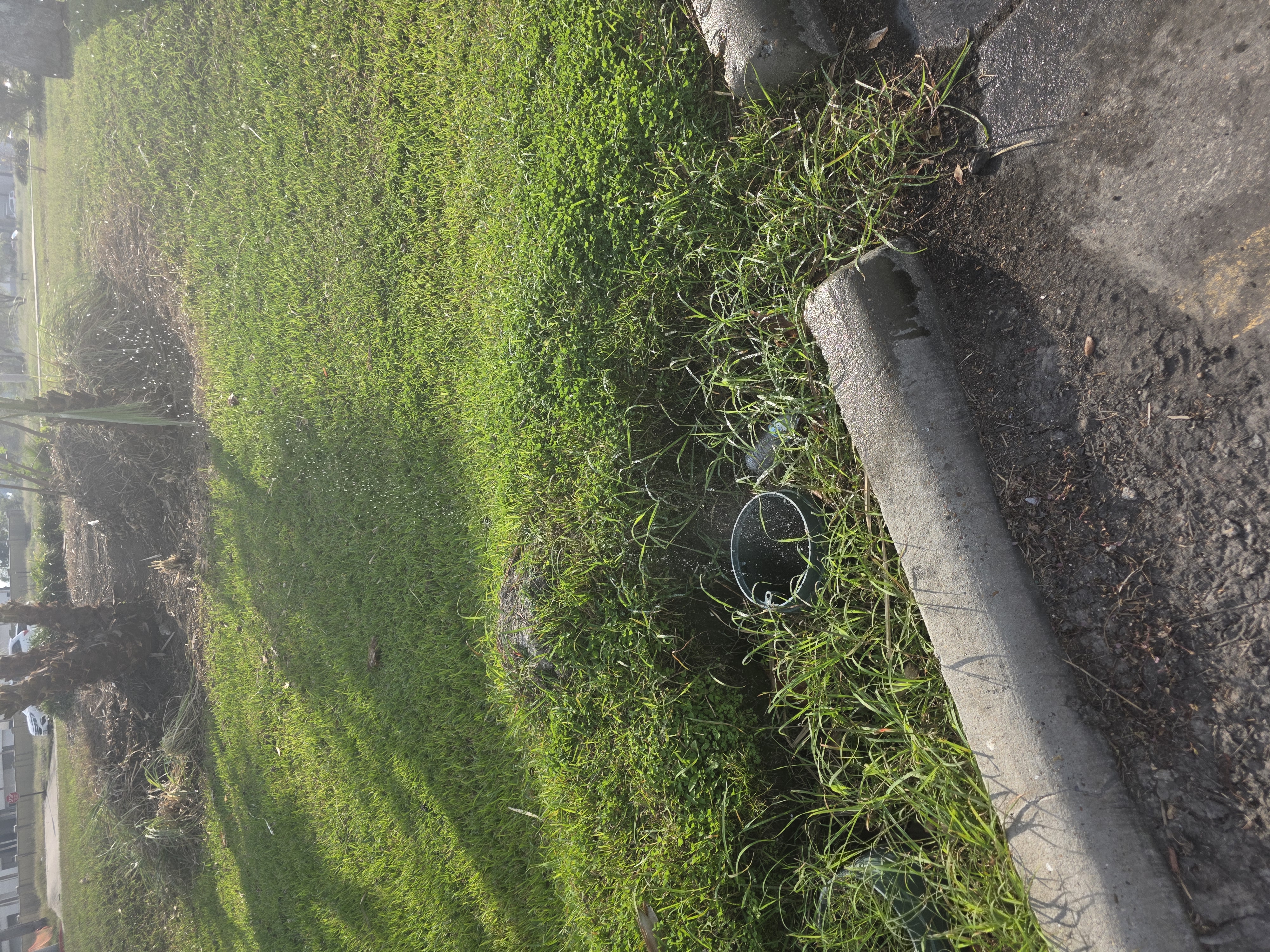  for Pro Lawn Care RGV in McAllen, TX