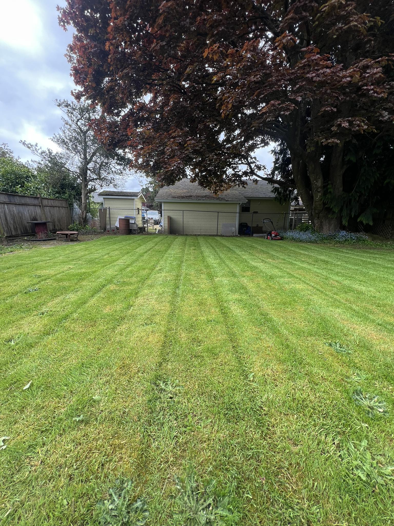  for The Lawn Ranger LLC in Tillamook, OR