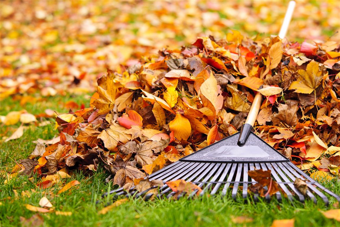  for The Family Tree Care Services LLC in Florida City, FL