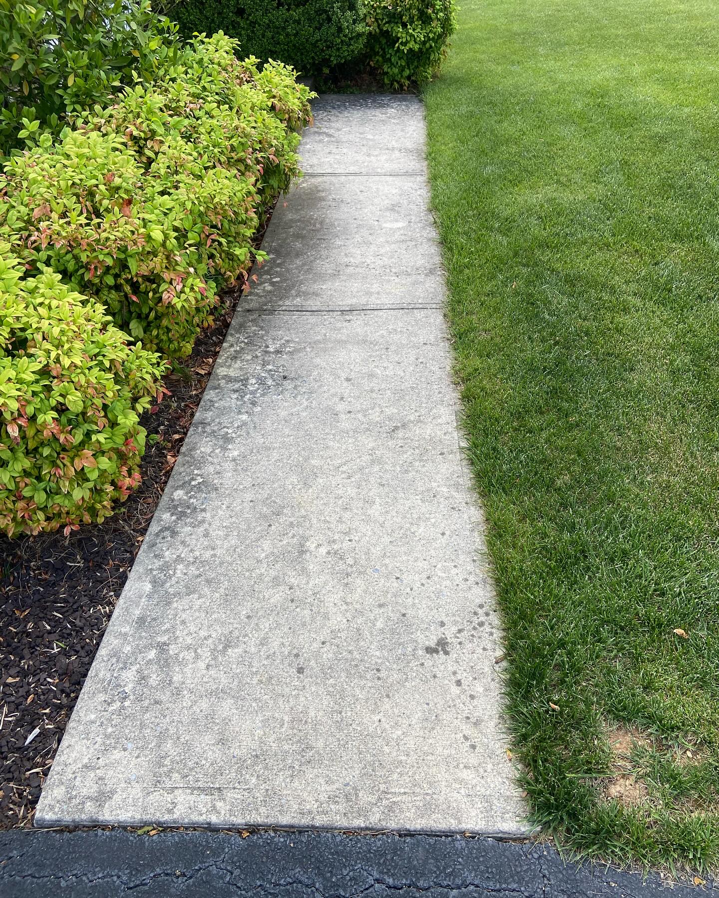  for MW ProBuild, LTD. in Roanoke, VA