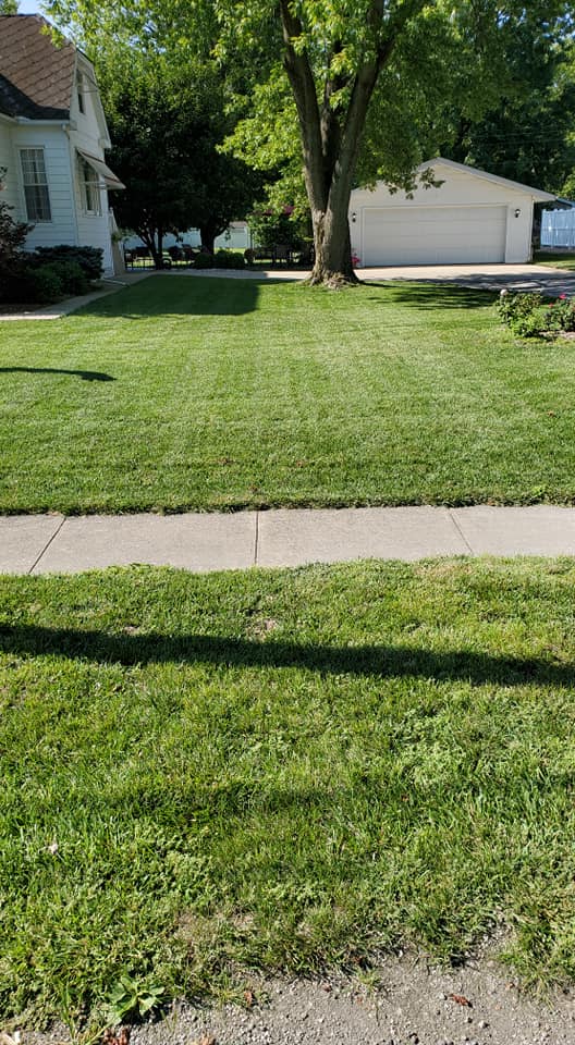  for Contemporary Landscape in St. Louis, MO