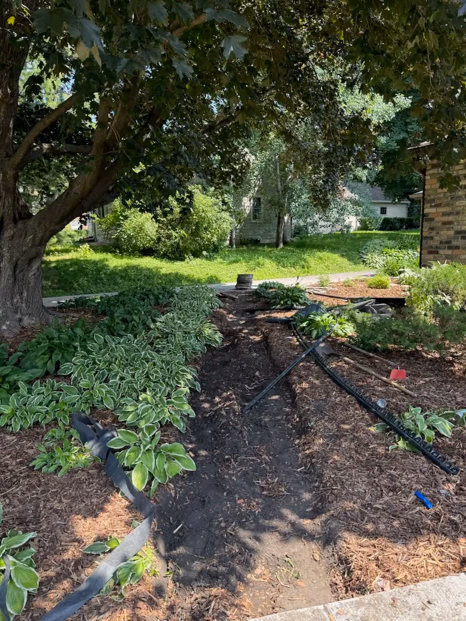 Thriving Landscapes with Custom Walkways