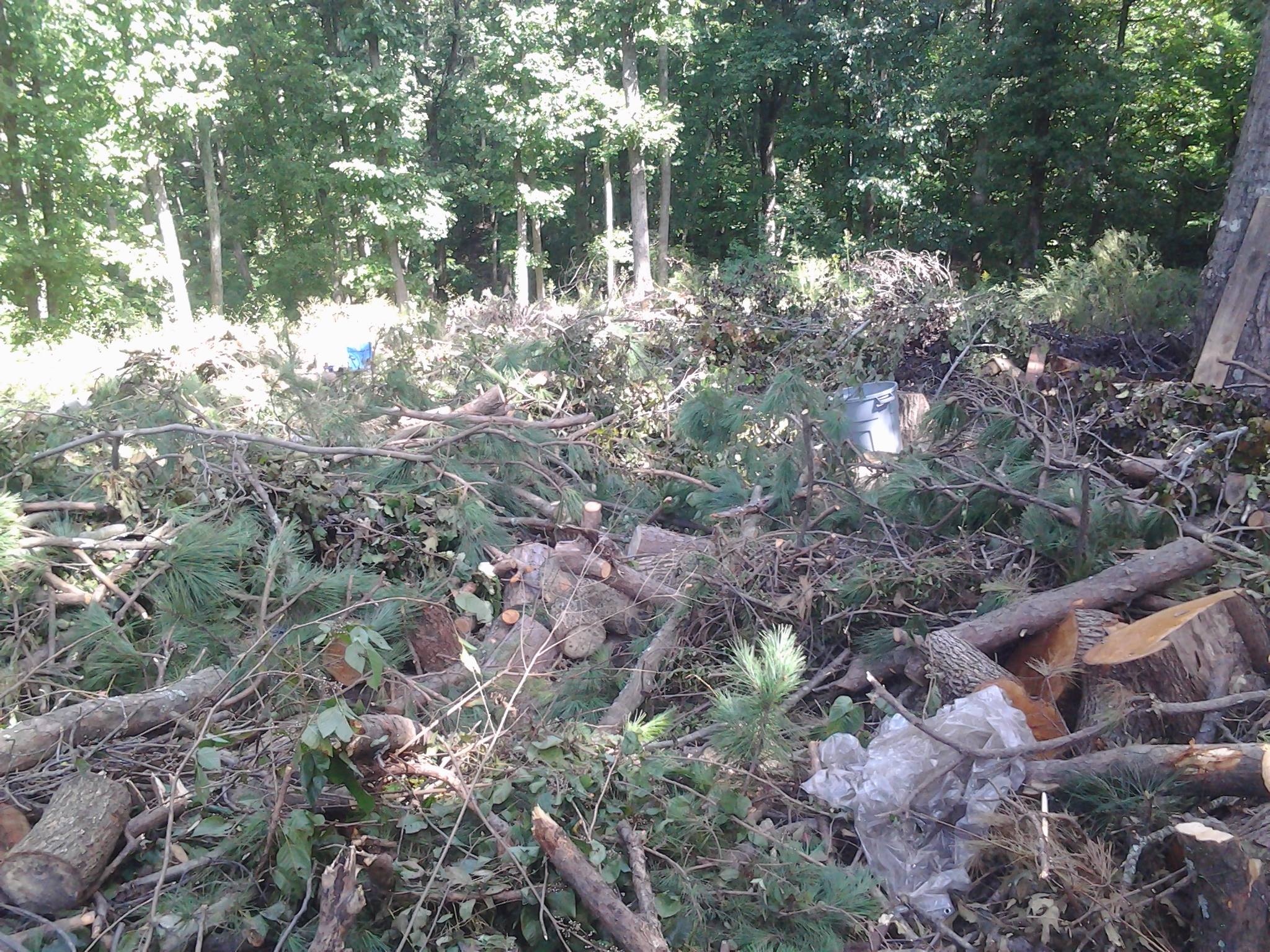  for Wofford's Grading Clearing and Landscaping in Milton, GA