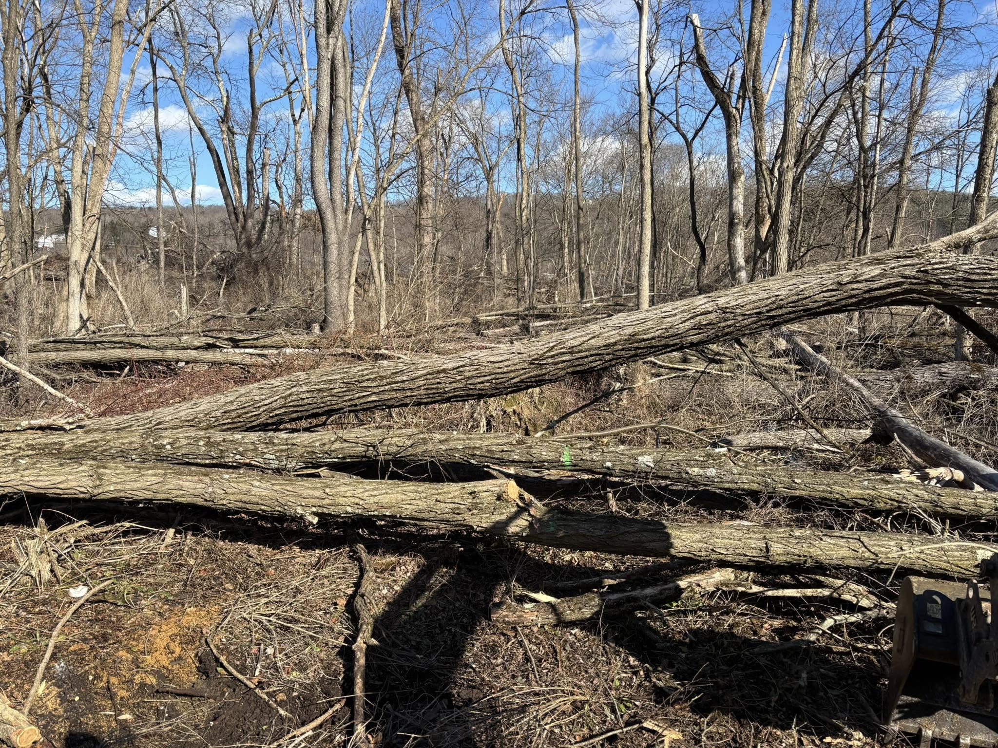 for Brax Forestry in Endicott, NY