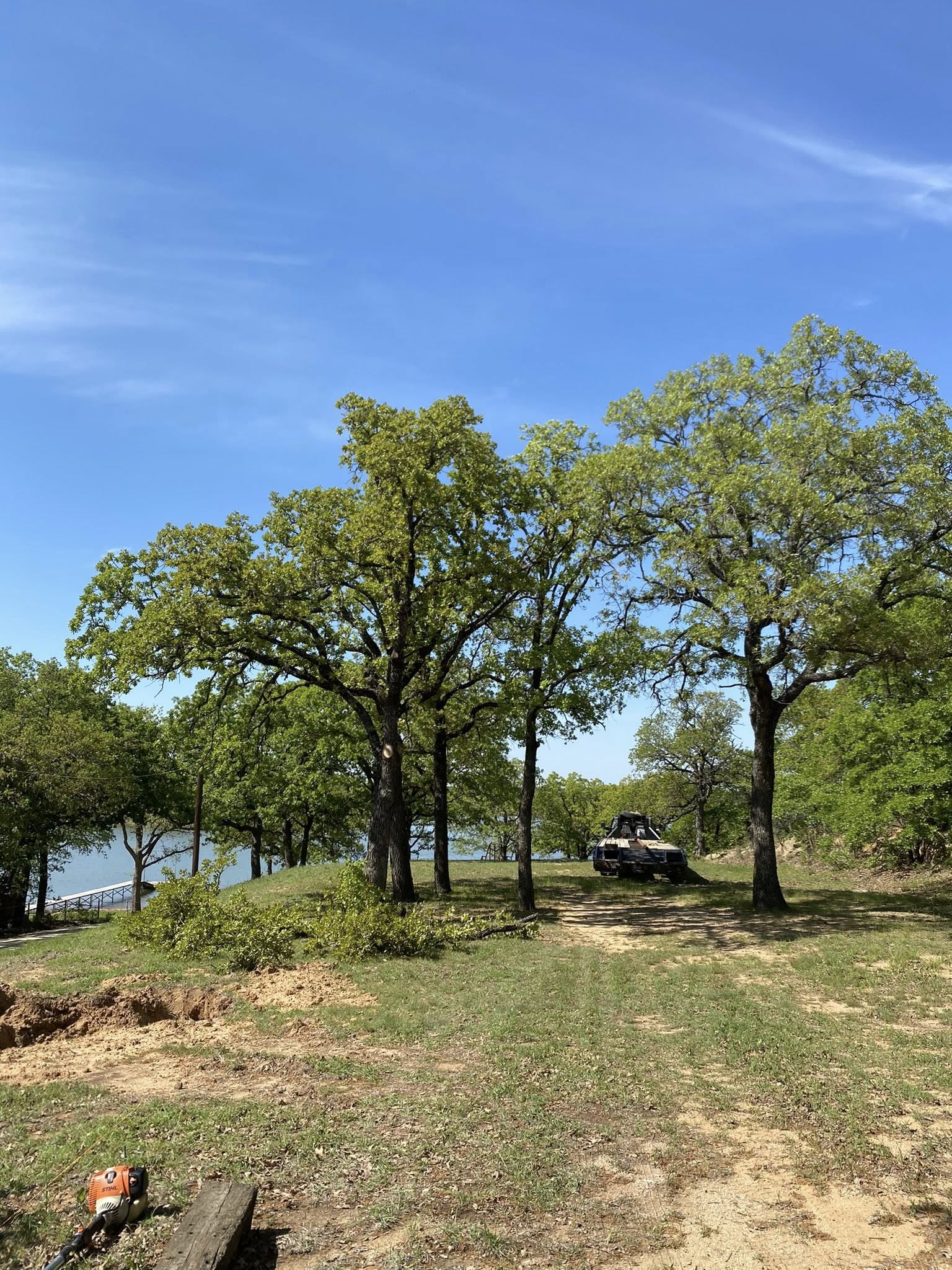  for Hector’s Tree Services in Nocona, TX