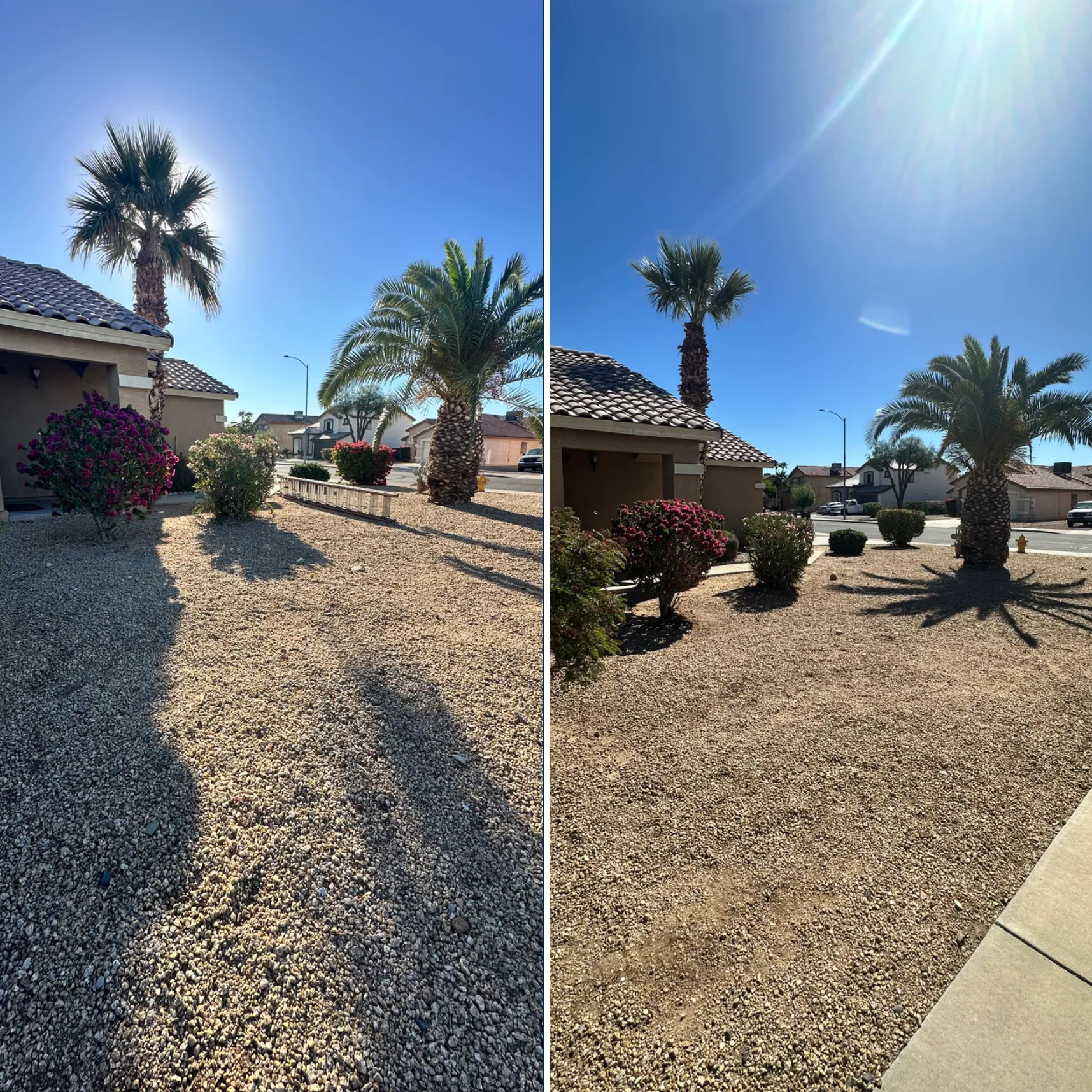  for American Dream Landscape Company in Surprise, AZ