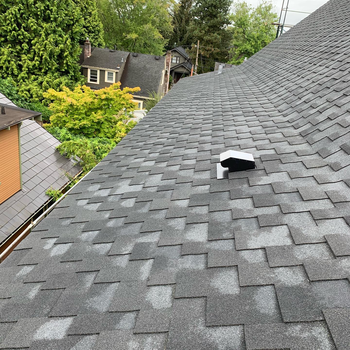MDM Roofing team in Portland, OR - people or person