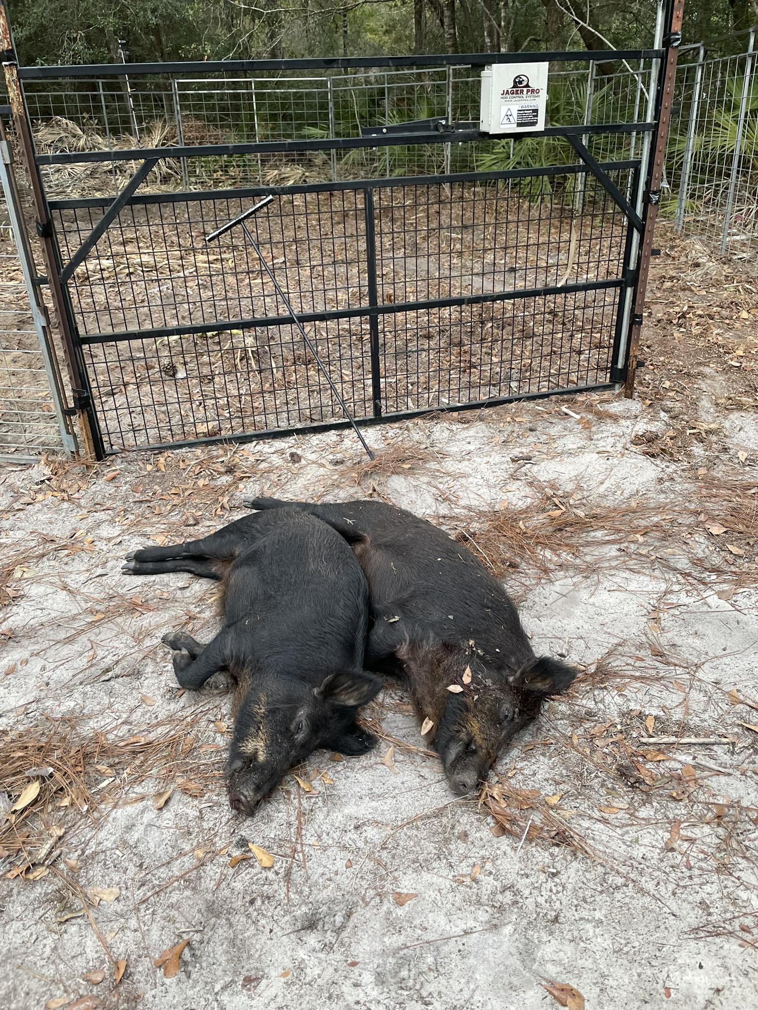  for Havoc Hog Control in Molino, FL