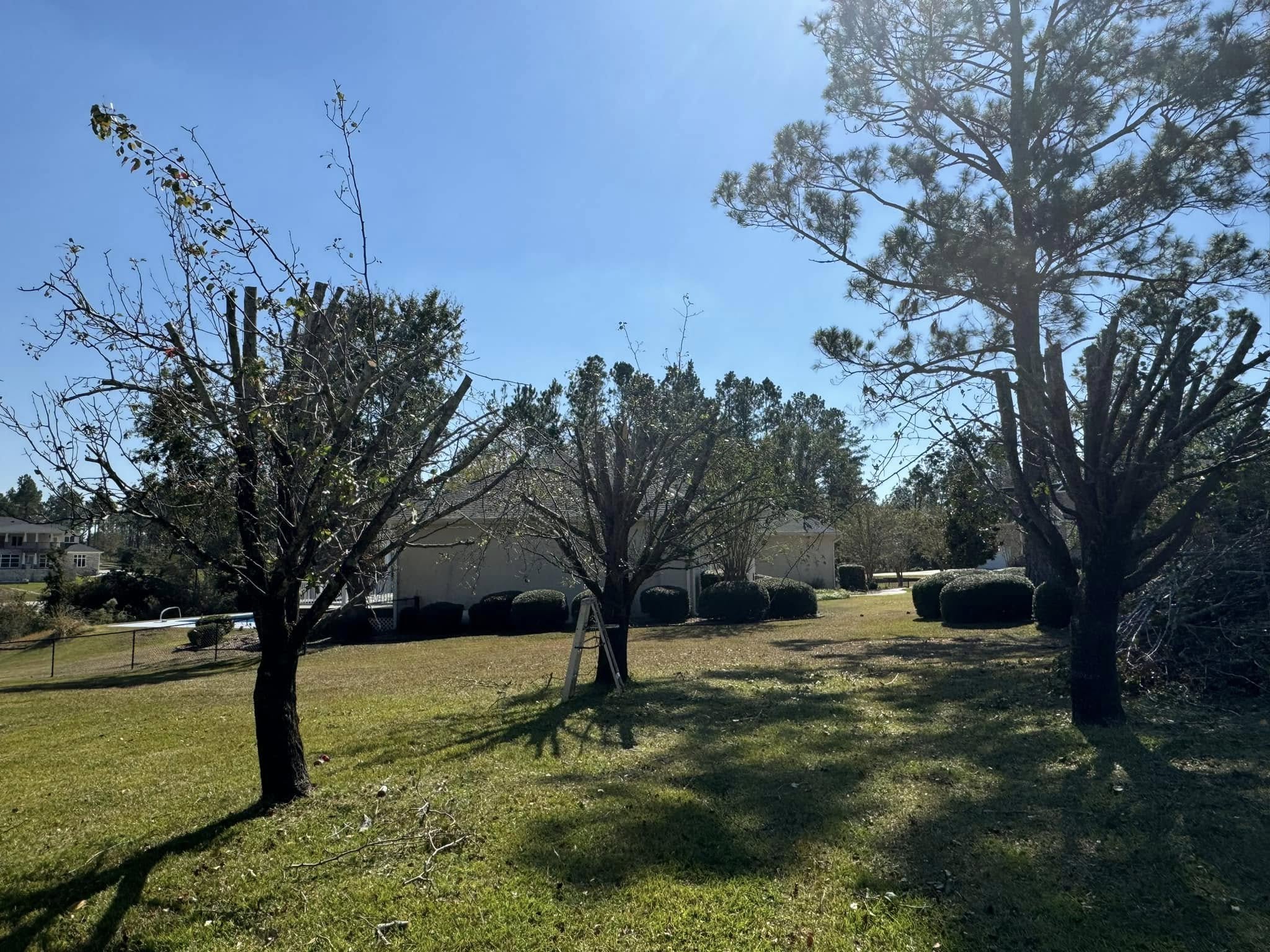  for Sierra Verde Landscaping in Vidalia, GA