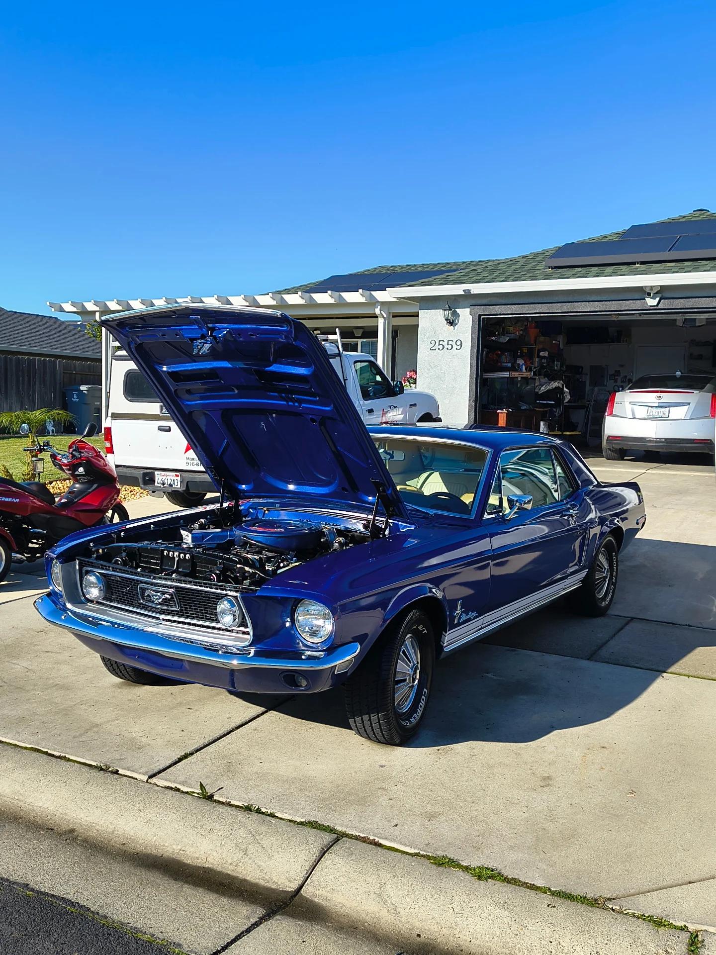  for Apex Mobile Detail LLC in Linda, CA